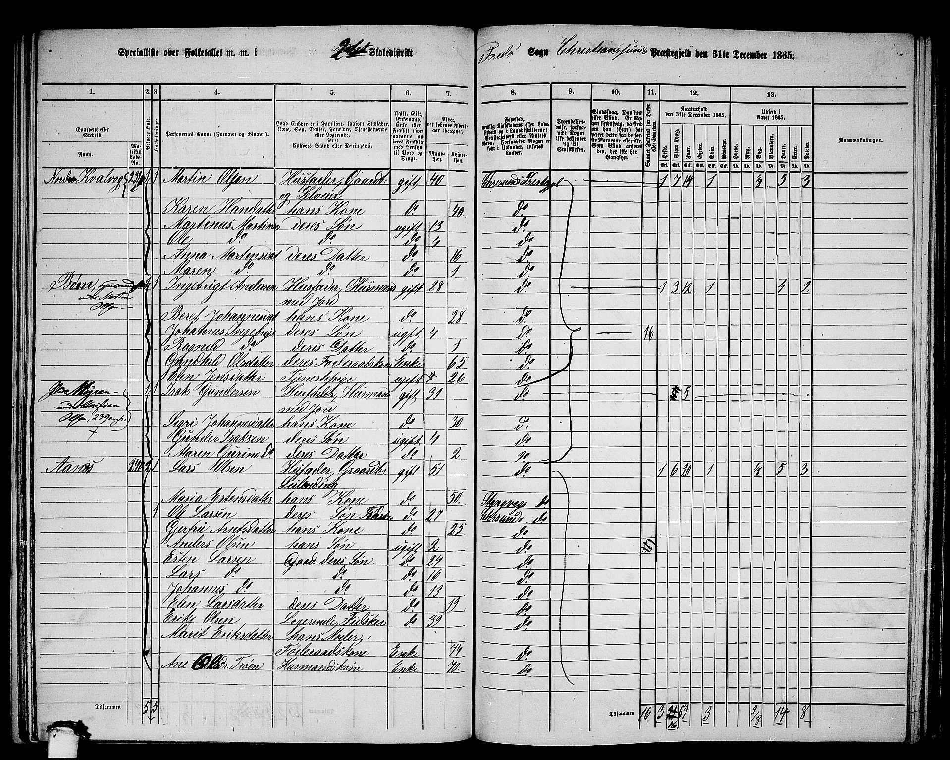 RA, 1865 census for Kristiansund/Frei og Grip, 1865, p. 33