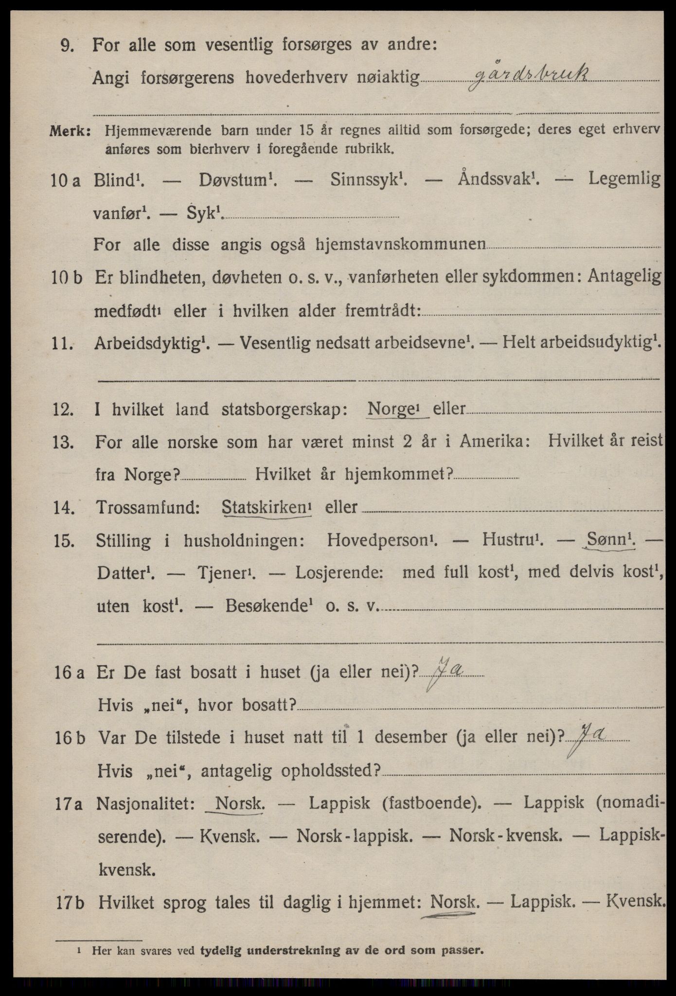 SAT, 1920 census for Røros, 1920, p. 10609