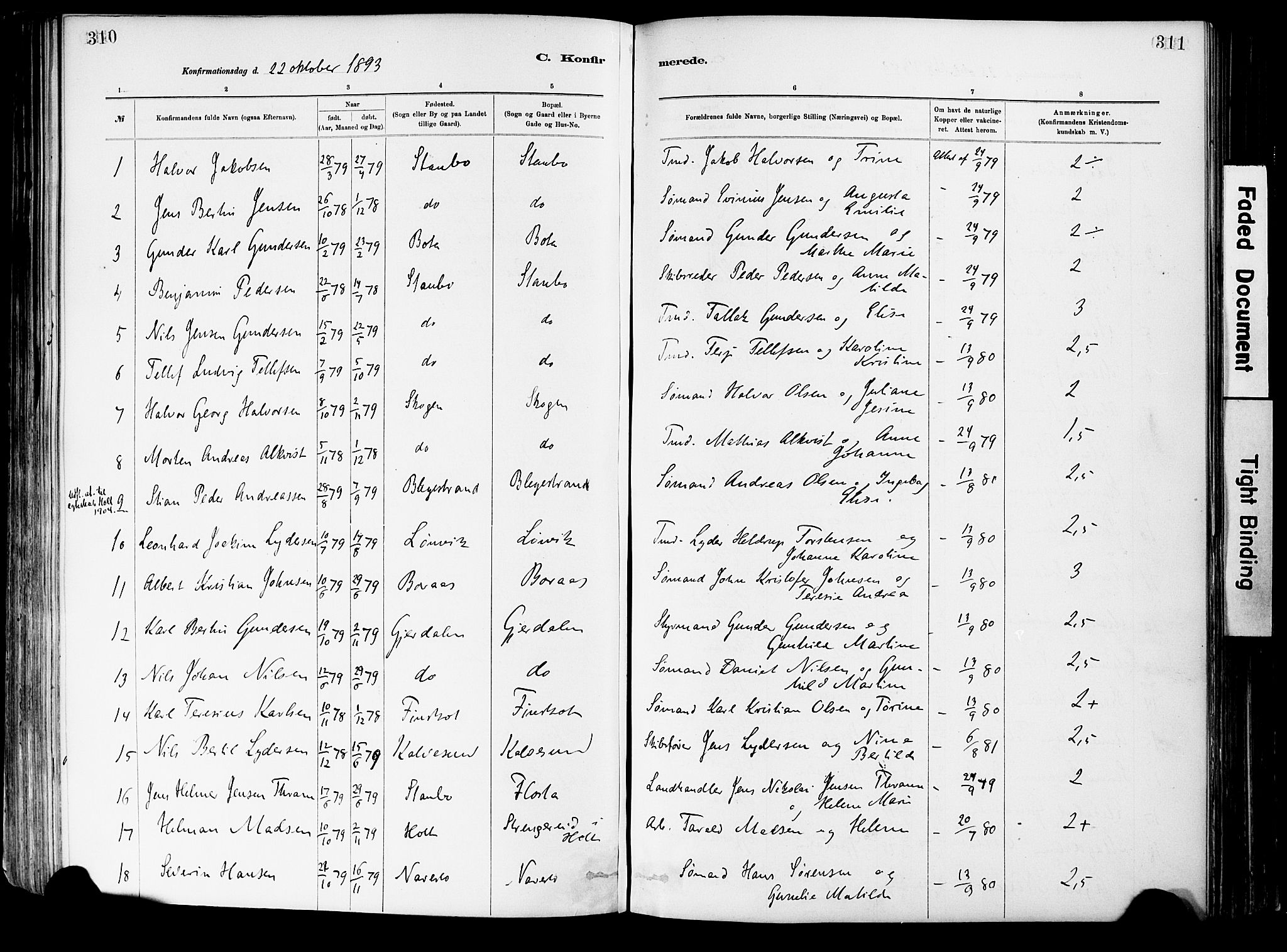 Dypvåg sokneprestkontor, SAK/1111-0007/F/Fa/Fab/L0001: Parish register (official) no. A 1, 1885-1912, p. 310-311