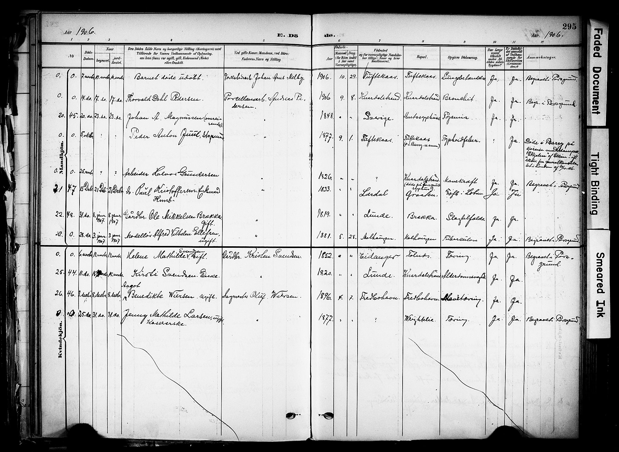 Solum kirkebøker, AV/SAKO-A-306/F/Fa/L0011: Parish register (official) no. I 11, 1898-1909, p. 295