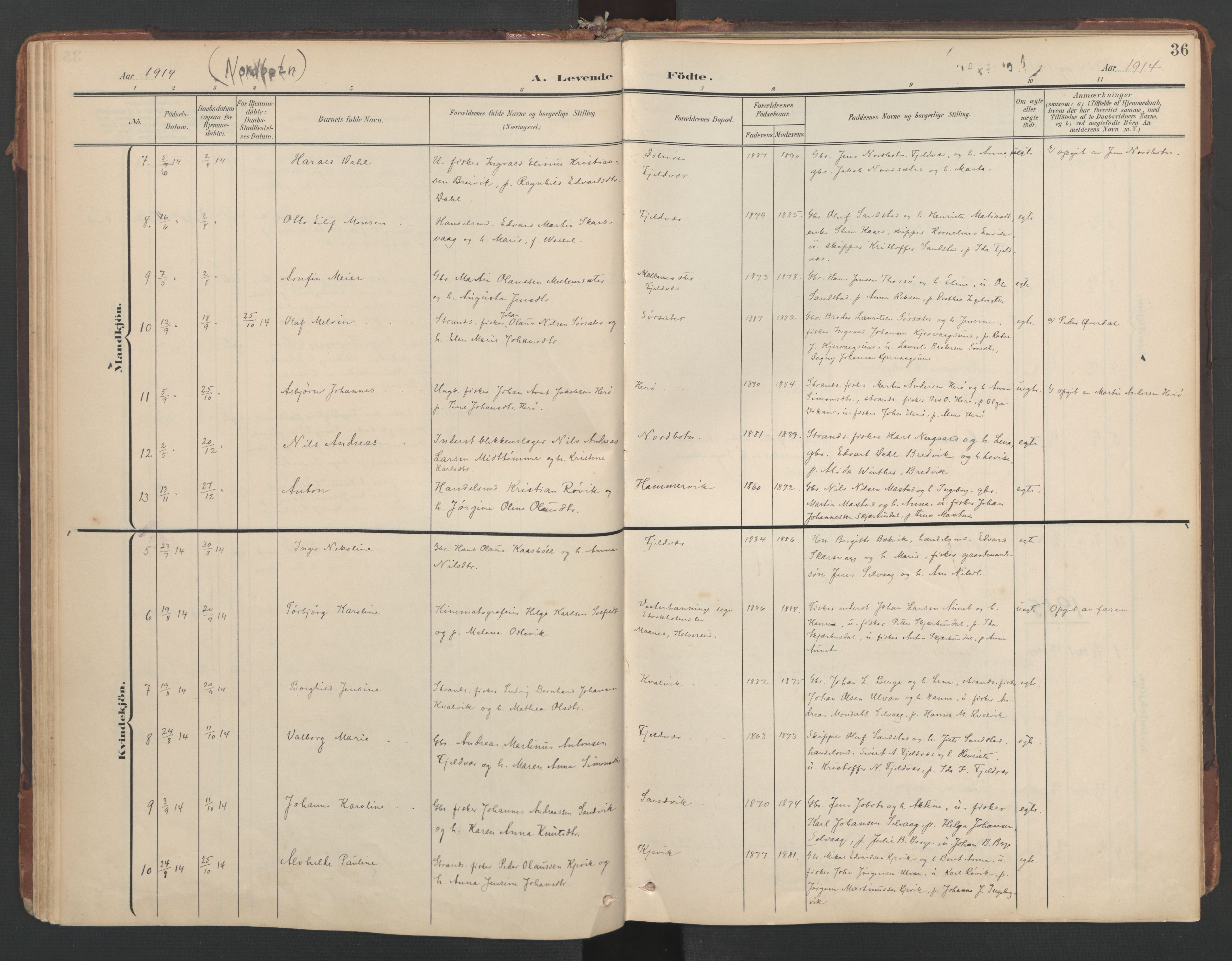 Ministerialprotokoller, klokkerbøker og fødselsregistre - Sør-Trøndelag, SAT/A-1456/638/L0568: Parish register (official) no. 638A01, 1901-1916, p. 36
