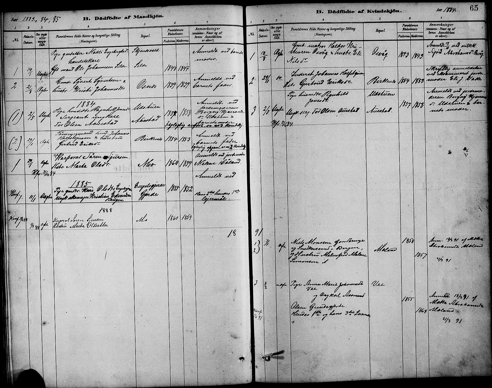 Etne sokneprestembete, SAB/A-75001/H/Hab: Parish register (copy) no. B 4, 1879-1897, p. 65