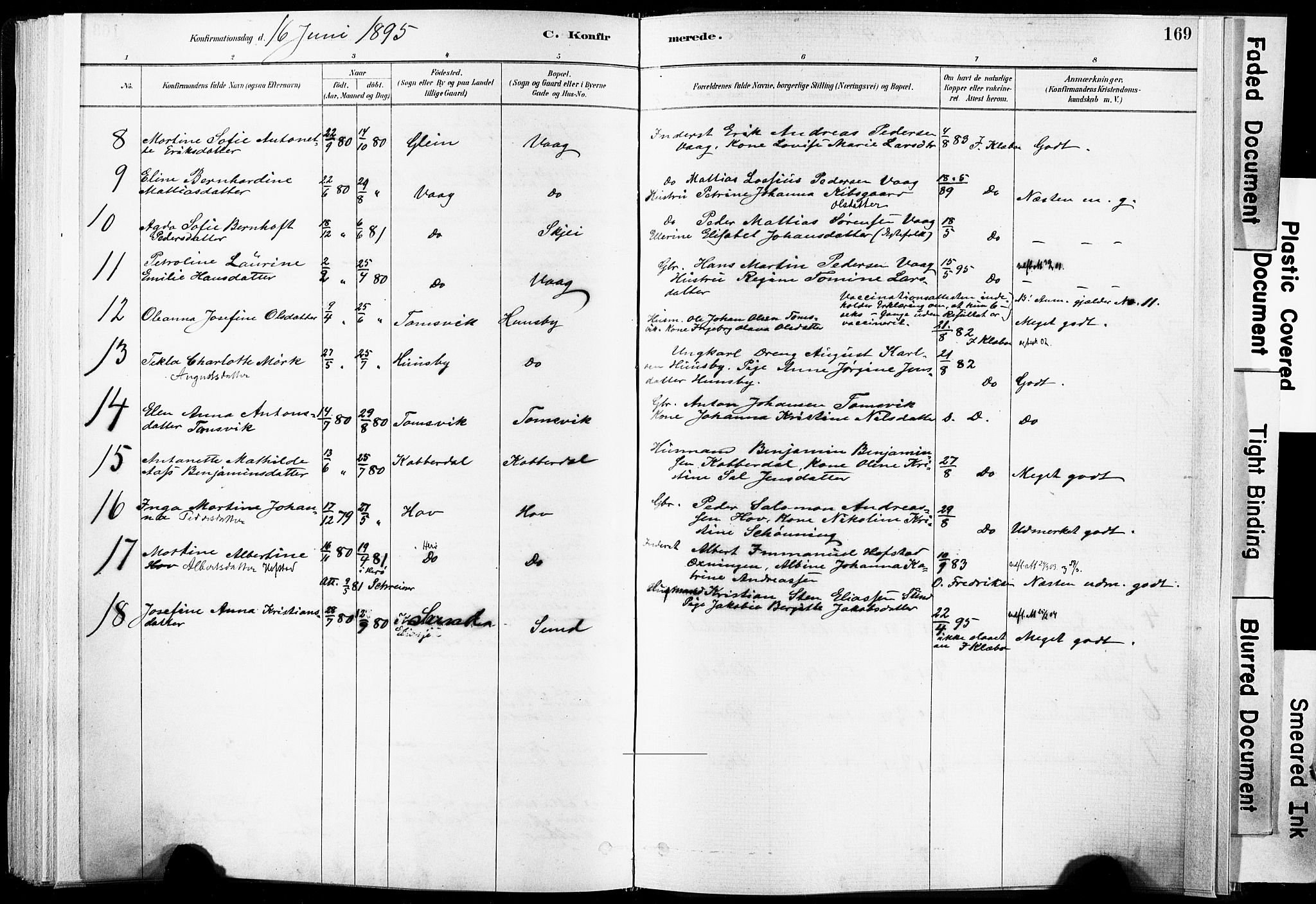 Ministerialprotokoller, klokkerbøker og fødselsregistre - Nordland, SAT/A-1459/835/L0525: Parish register (official) no. 835A03I, 1881-1910, p. 169