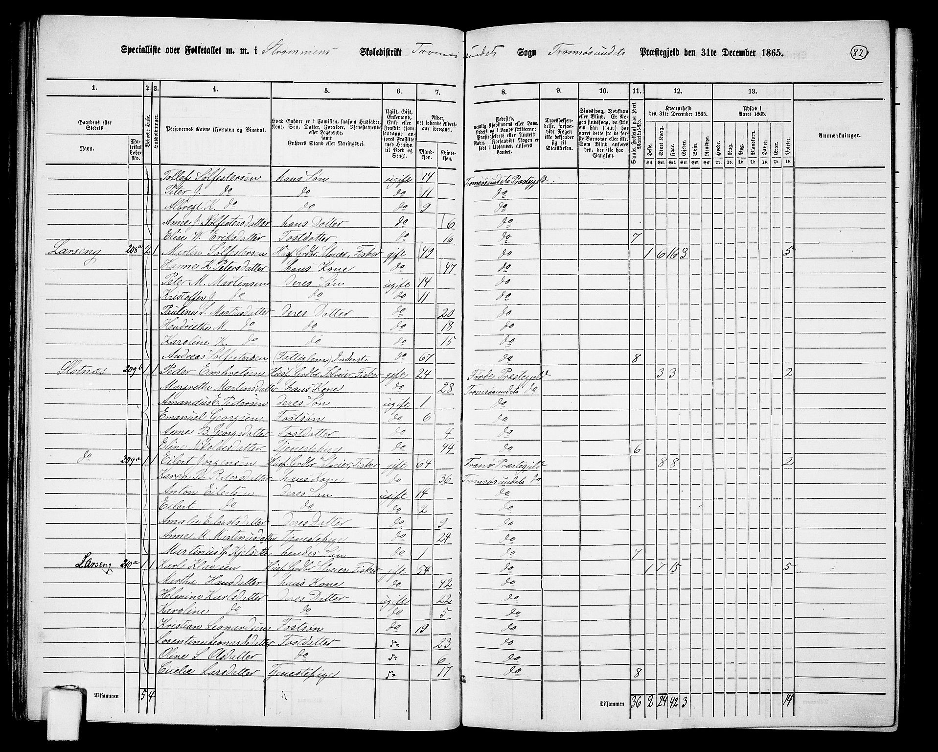 RA, 1865 census for Tromsøysund, 1865, p. 71