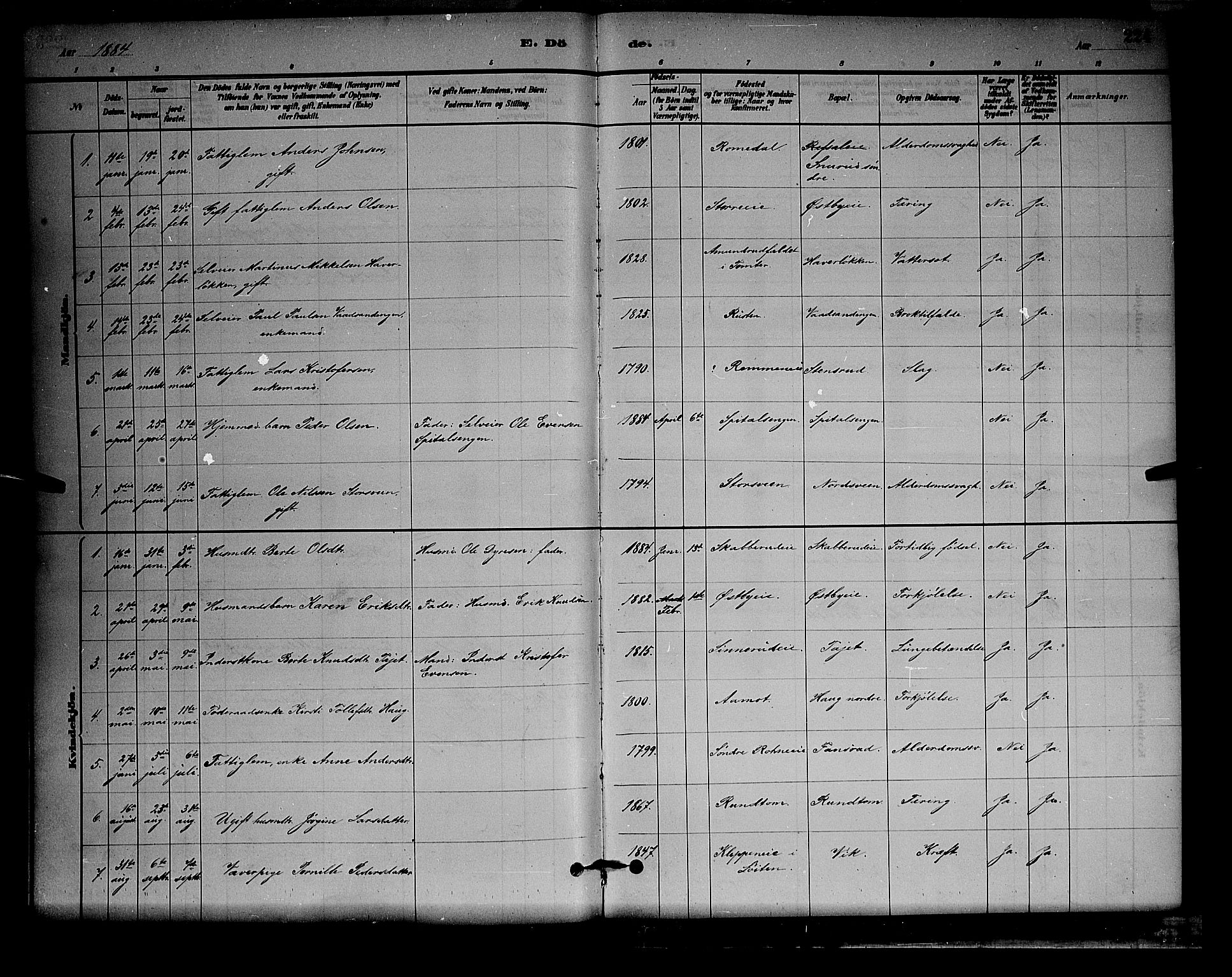 Stange prestekontor, SAH/PREST-002/L/L0008: Parish register (copy) no. 8, 1882-1895, p. 224