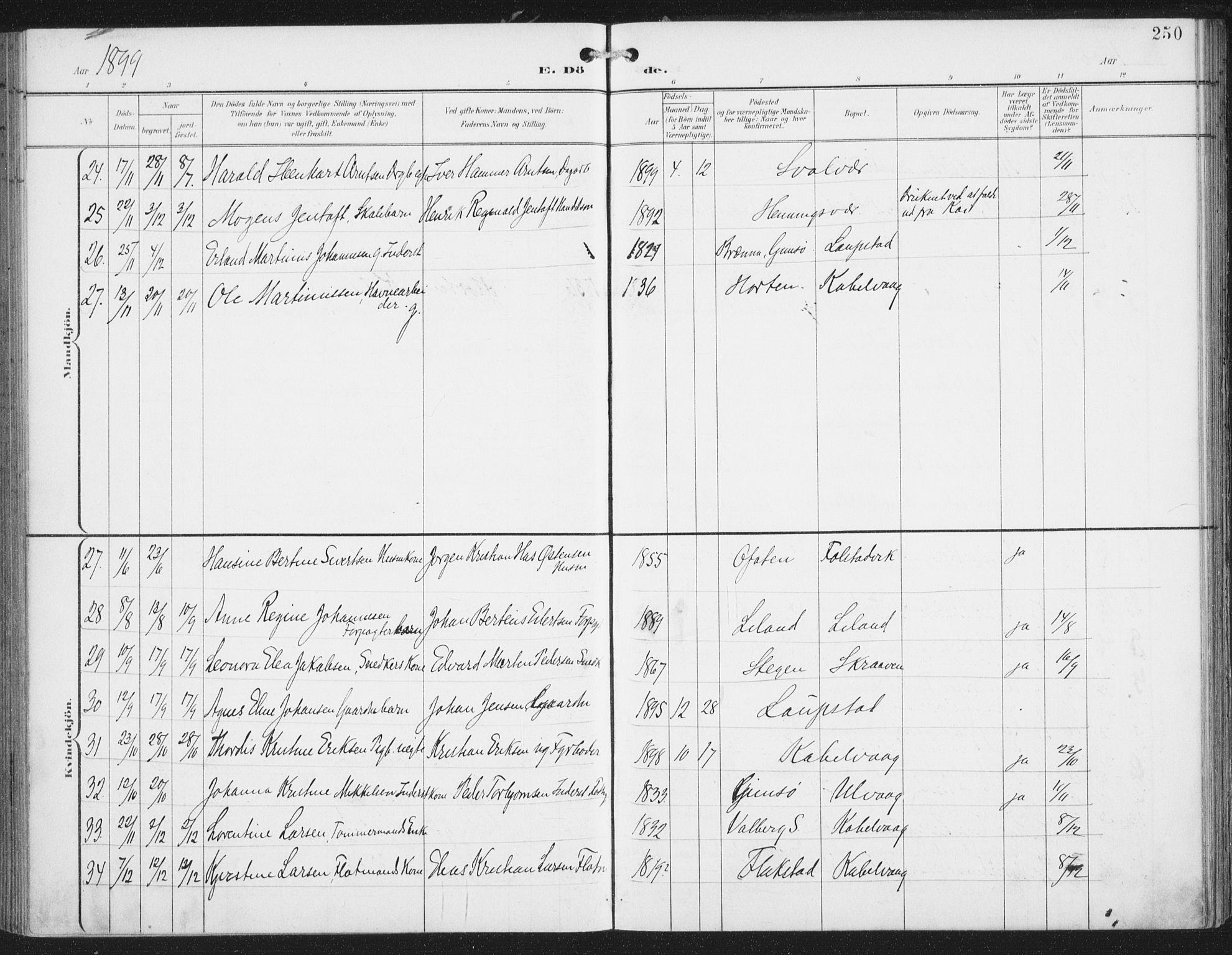 Ministerialprotokoller, klokkerbøker og fødselsregistre - Nordland, AV/SAT-A-1459/874/L1062: Parish register (official) no. 874A06, 1899-1907, p. 250