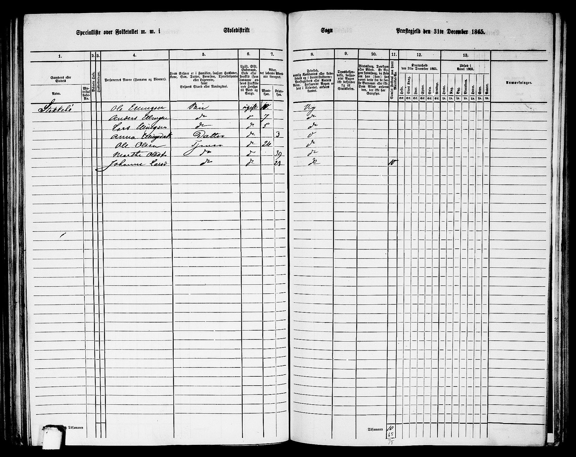 RA, 1865 census for Vik, 1865, p. 136