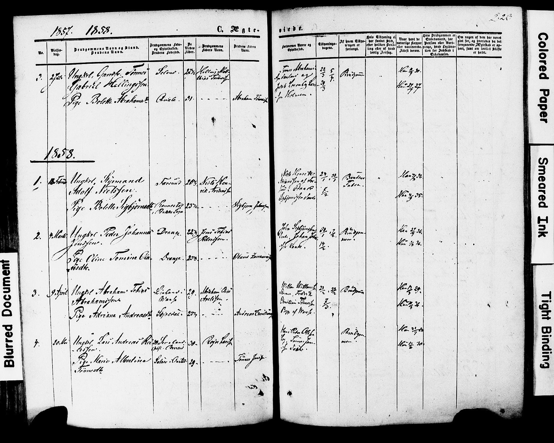 Herad sokneprestkontor, AV/SAK-1111-0018/F/Fa/Faa/L0005: Parish register (official) no. A 5, 1853-1886, p. 223