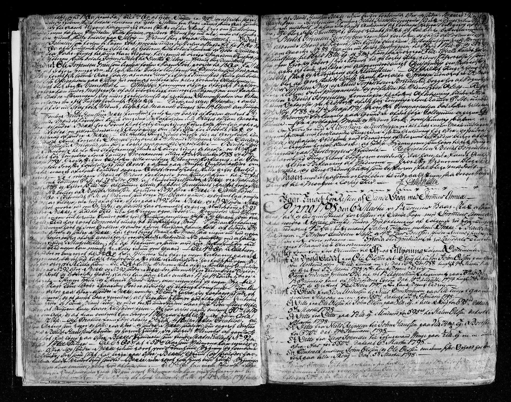 Nordre Jarlsberg sorenskriveri, SAKO/A-80/F/Fa/Faa/L0032: Tingbok, 1797-1811, p. 9