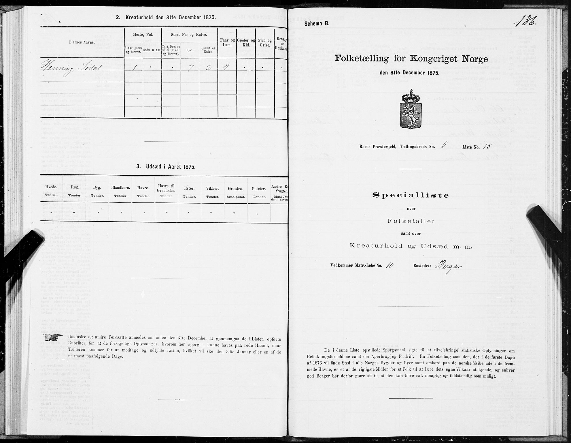 SAT, 1875 census for 1640P Røros, 1875, p. 3136