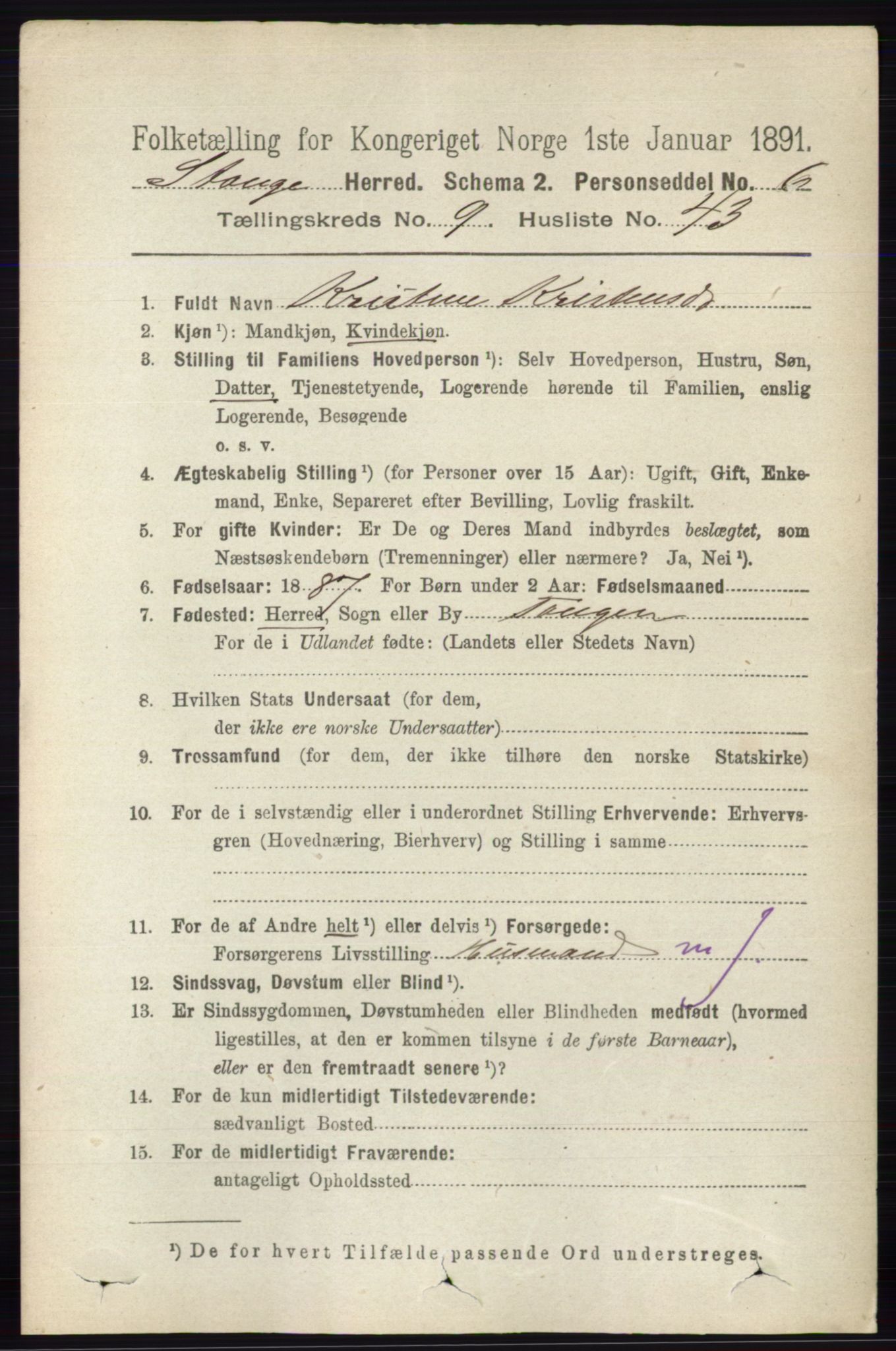 RA, 1891 census for 0417 Stange, 1891, p. 6295