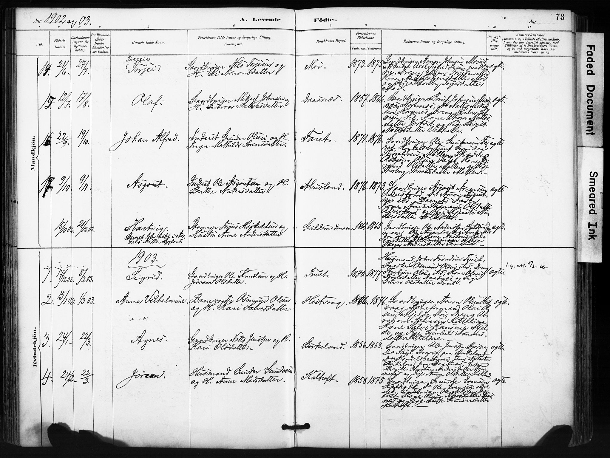 Evje sokneprestkontor, SAK/1111-0008/F/Fa/Fab/L0003: Parish register (official) no. A 3, 1884-1909, p. 73