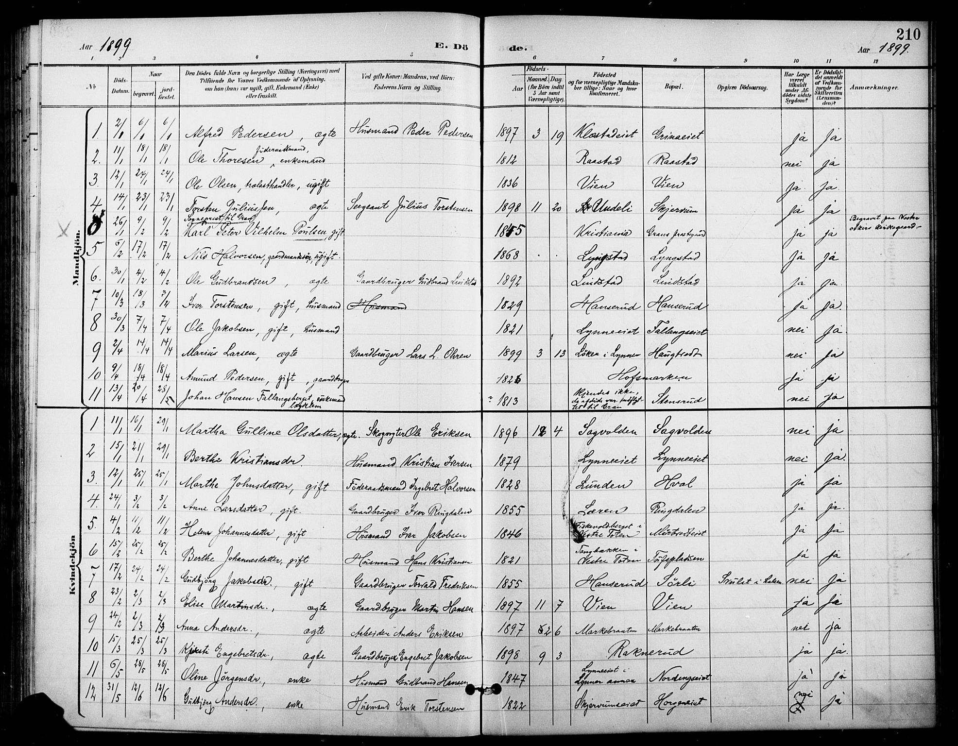 Gran prestekontor, SAH/PREST-112/H/Ha/Haa/L0019: Parish register (official) no. 19, 1898-1907, p. 210