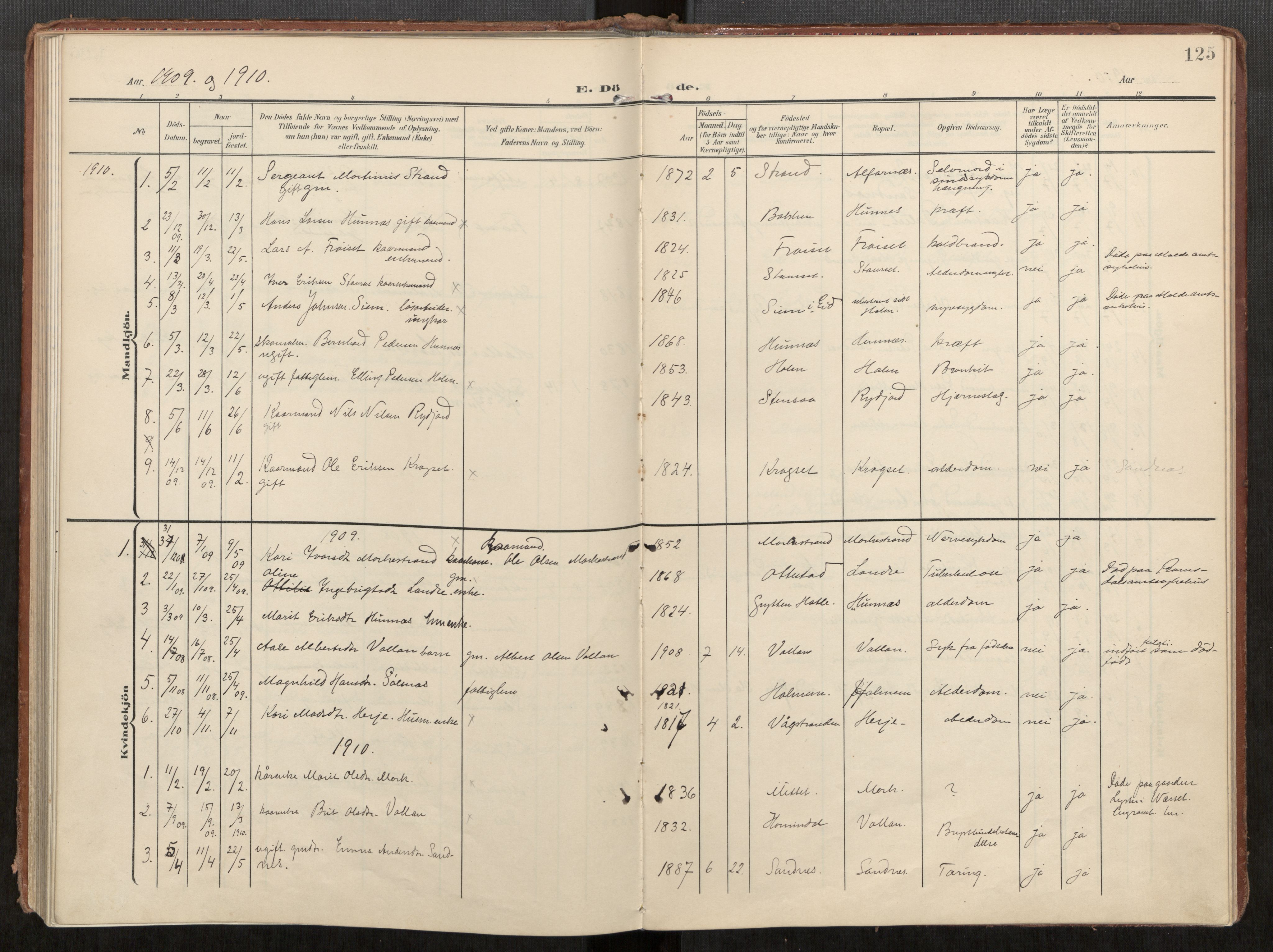 Ministerialprotokoller, klokkerbøker og fødselsregistre - Møre og Romsdal, AV/SAT-A-1454/549/L0618: Parish register (official) no. 549A01, 1906-1927, p. 125