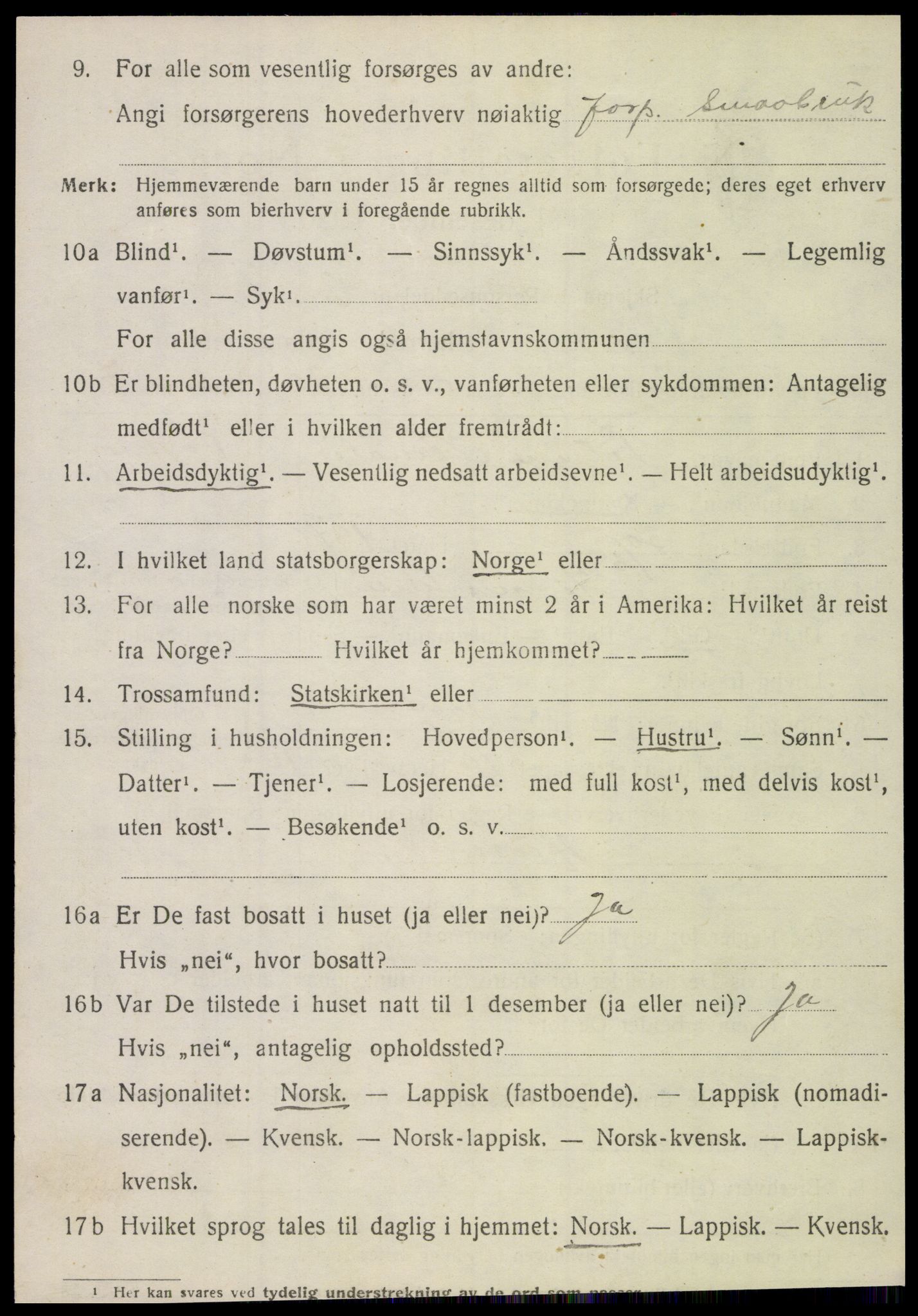 SAT, 1920 census for Hemnes, 1920, p. 6381