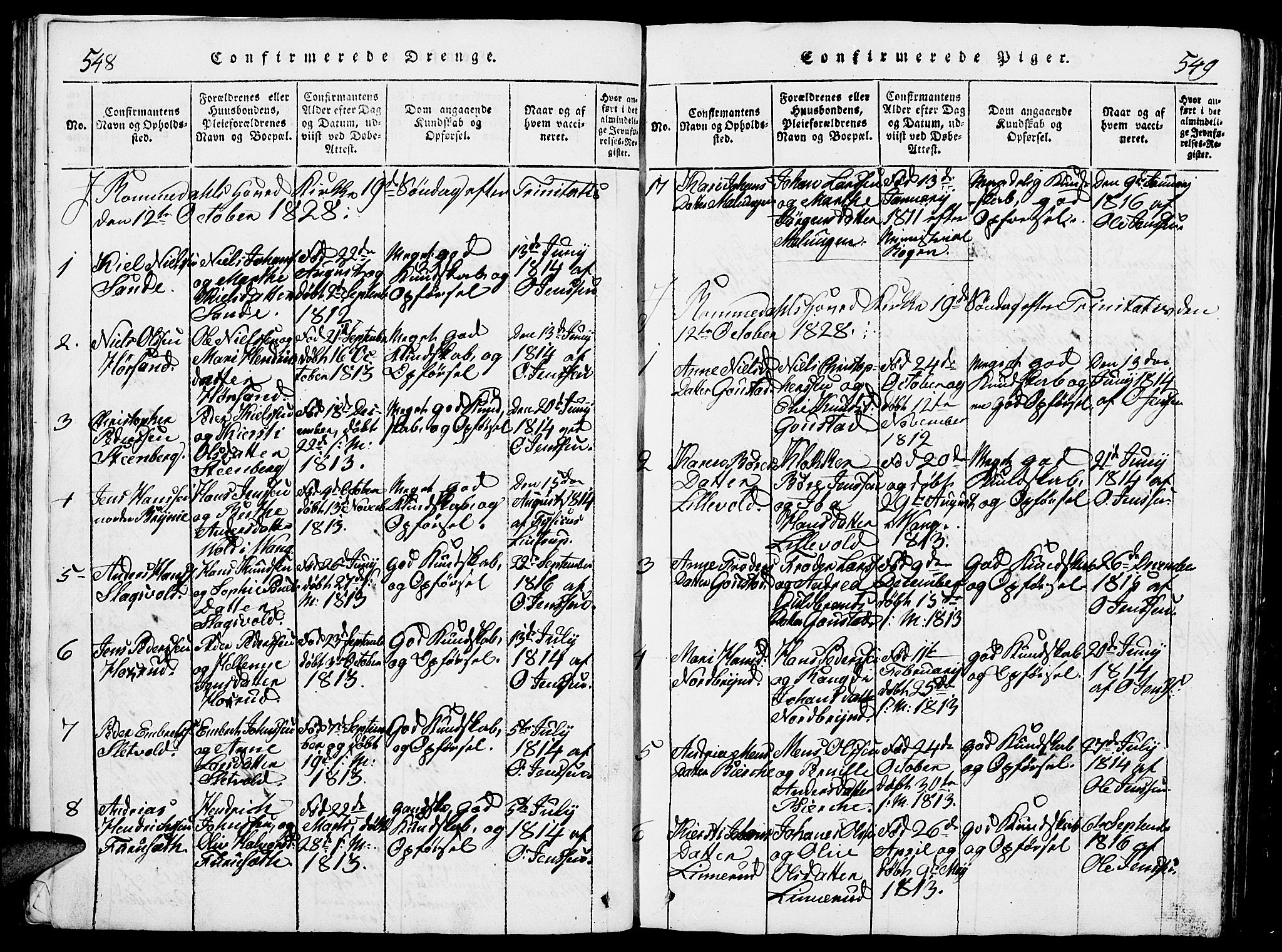 Romedal prestekontor, SAH/PREST-004/L/L0005: Parish register (copy) no. 5, 1814-1829, p. 548-549