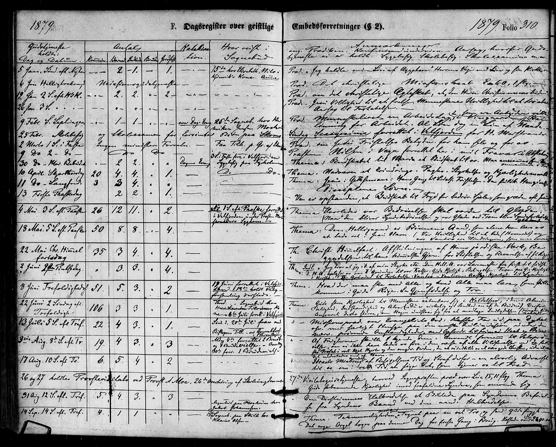 Ministerialprotokoller, klokkerbøker og fødselsregistre - Nordland, AV/SAT-A-1459/813/L0199: Parish register (official) no. 813A09, 1875-1885, p. 310