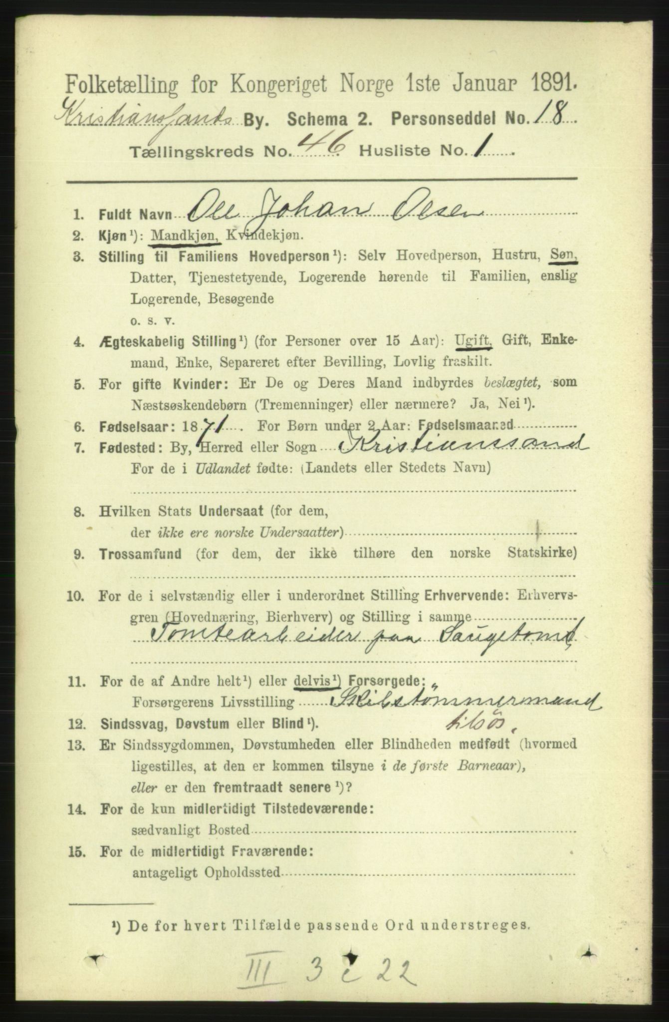 RA, 1891 census for 1001 Kristiansand, 1891, p. 14017