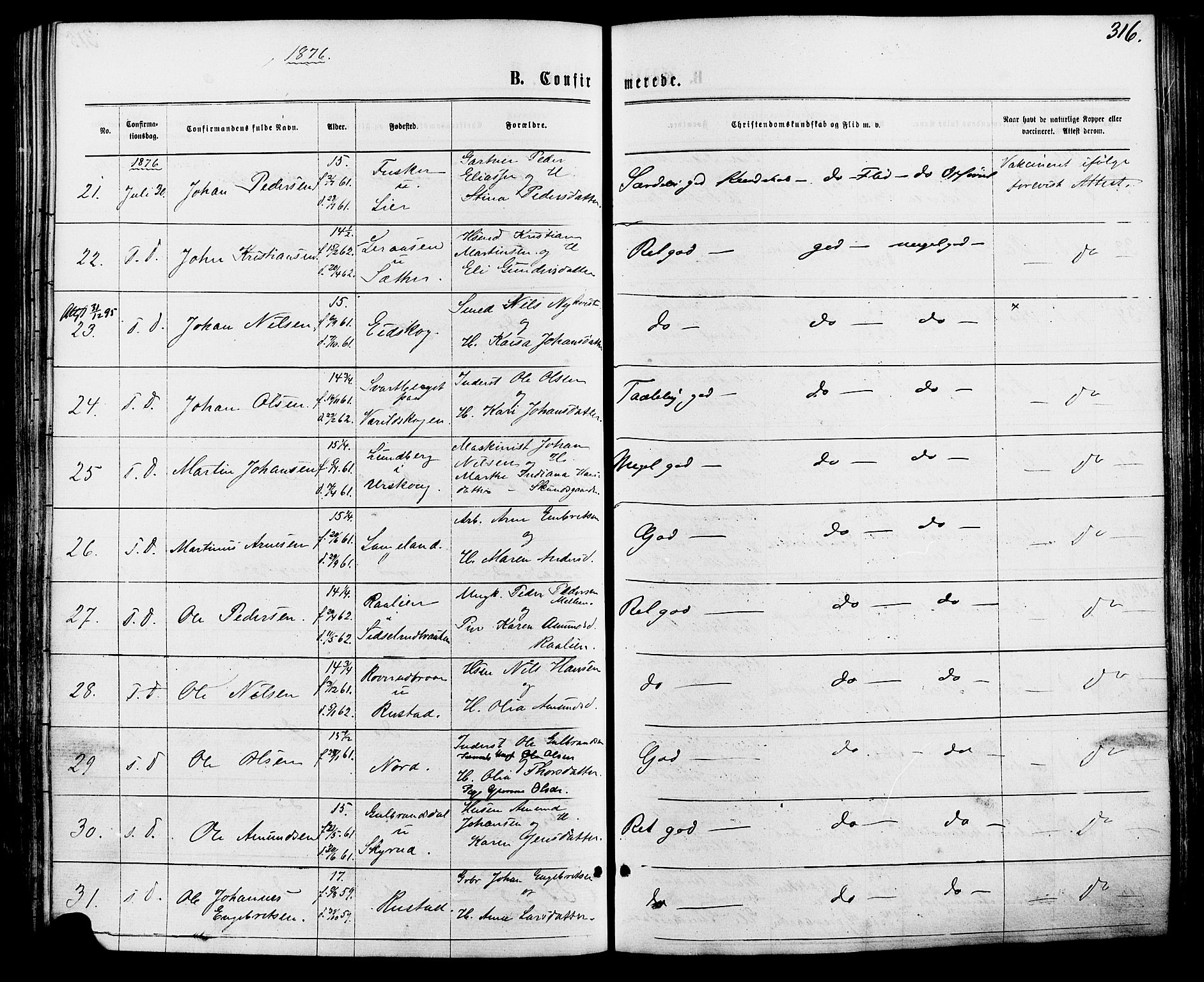 Vinger prestekontor, AV/SAH-PREST-024/H/Ha/Haa/L0012: Parish register (official) no. 12, 1871-1880, p. 316