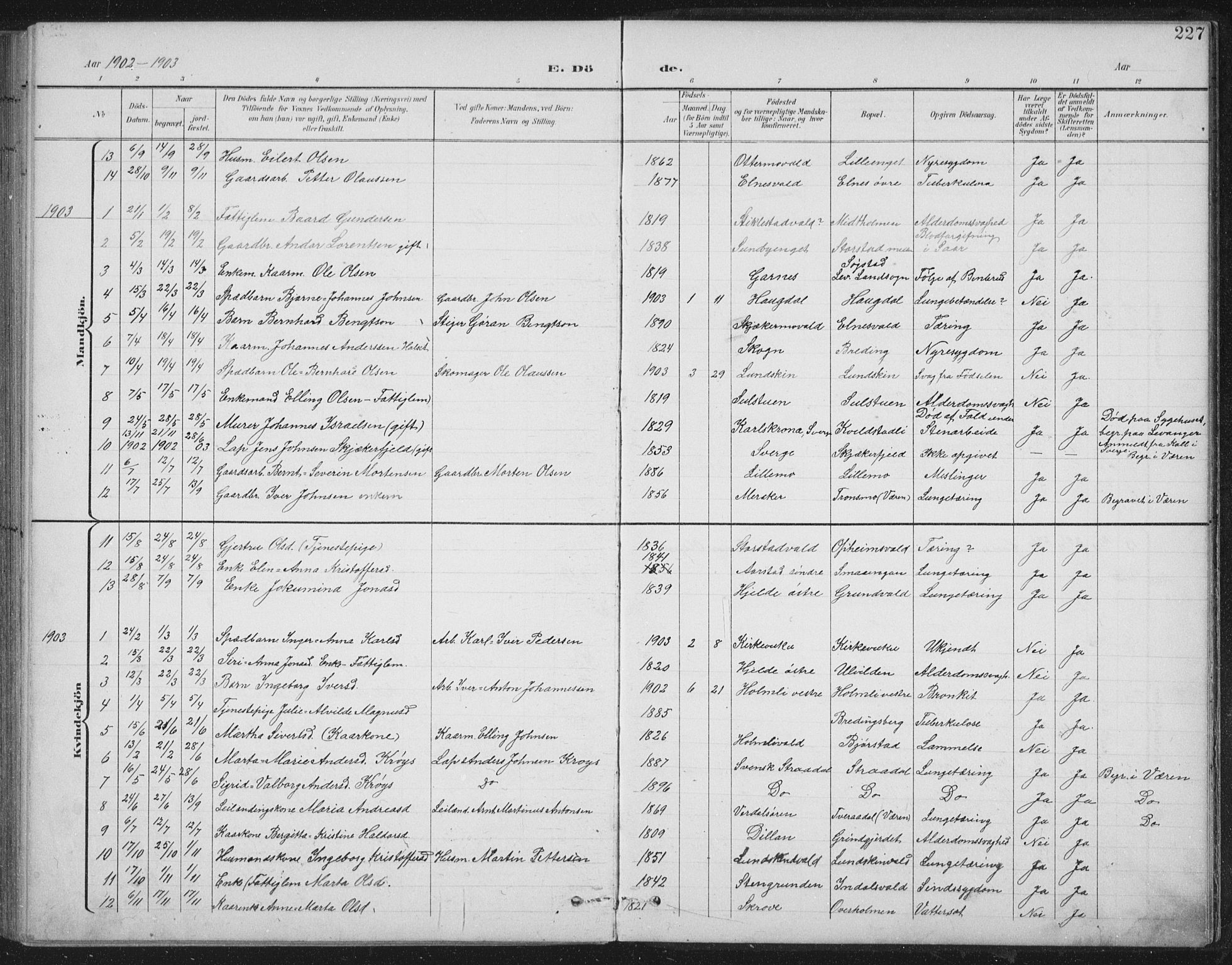Ministerialprotokoller, klokkerbøker og fødselsregistre - Nord-Trøndelag, SAT/A-1458/724/L0269: Parish register (copy) no. 724C05, 1899-1920, p. 227