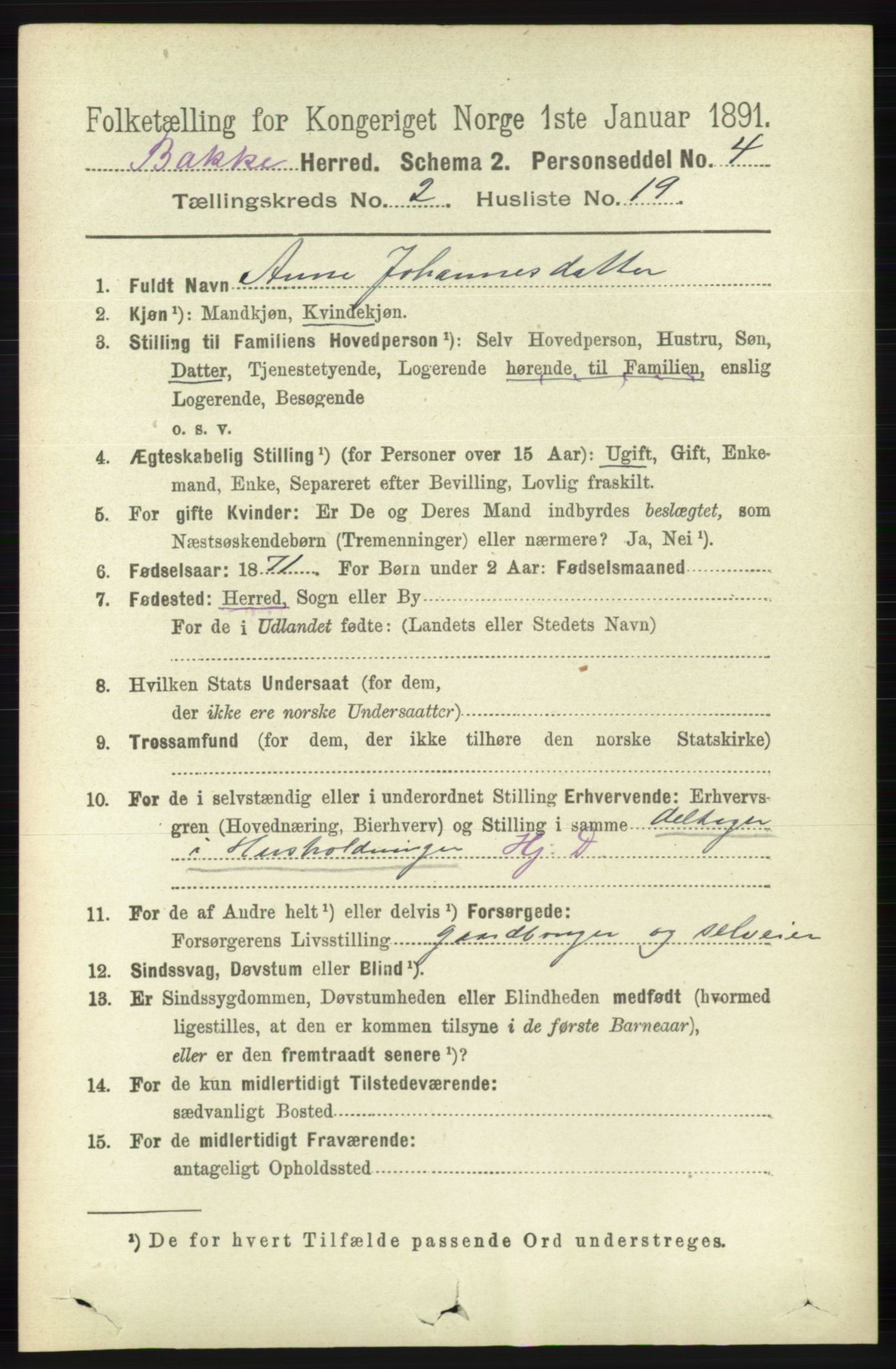 RA, 1891 census for 1045 Bakke, 1891, p. 383