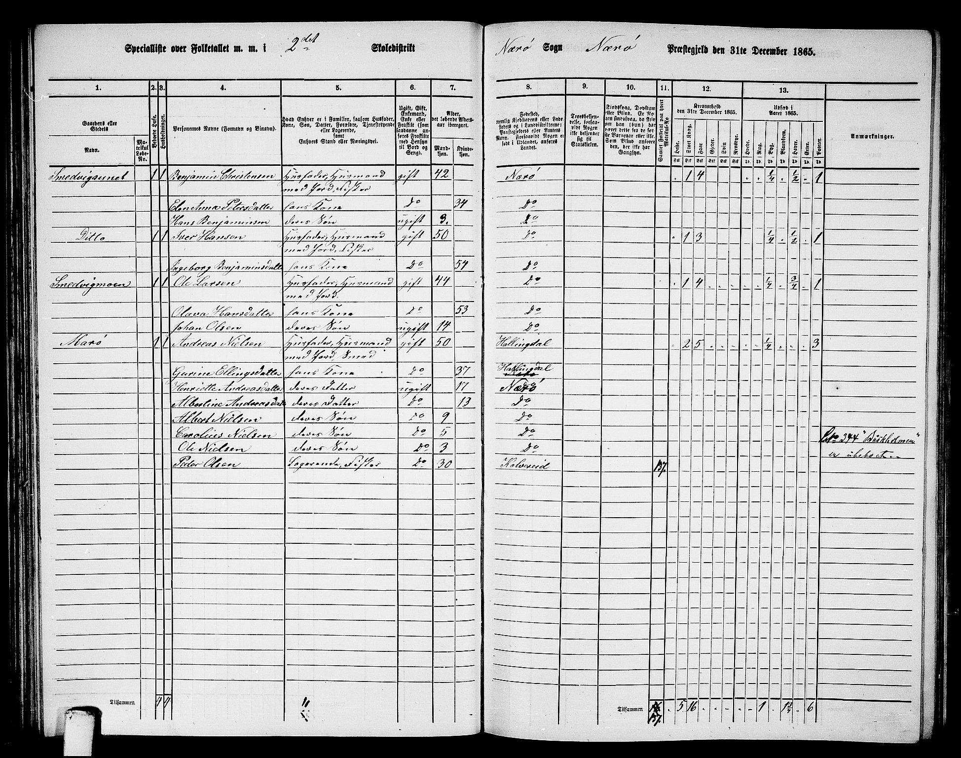 RA, 1865 census for Nærøy, 1865, p. 64