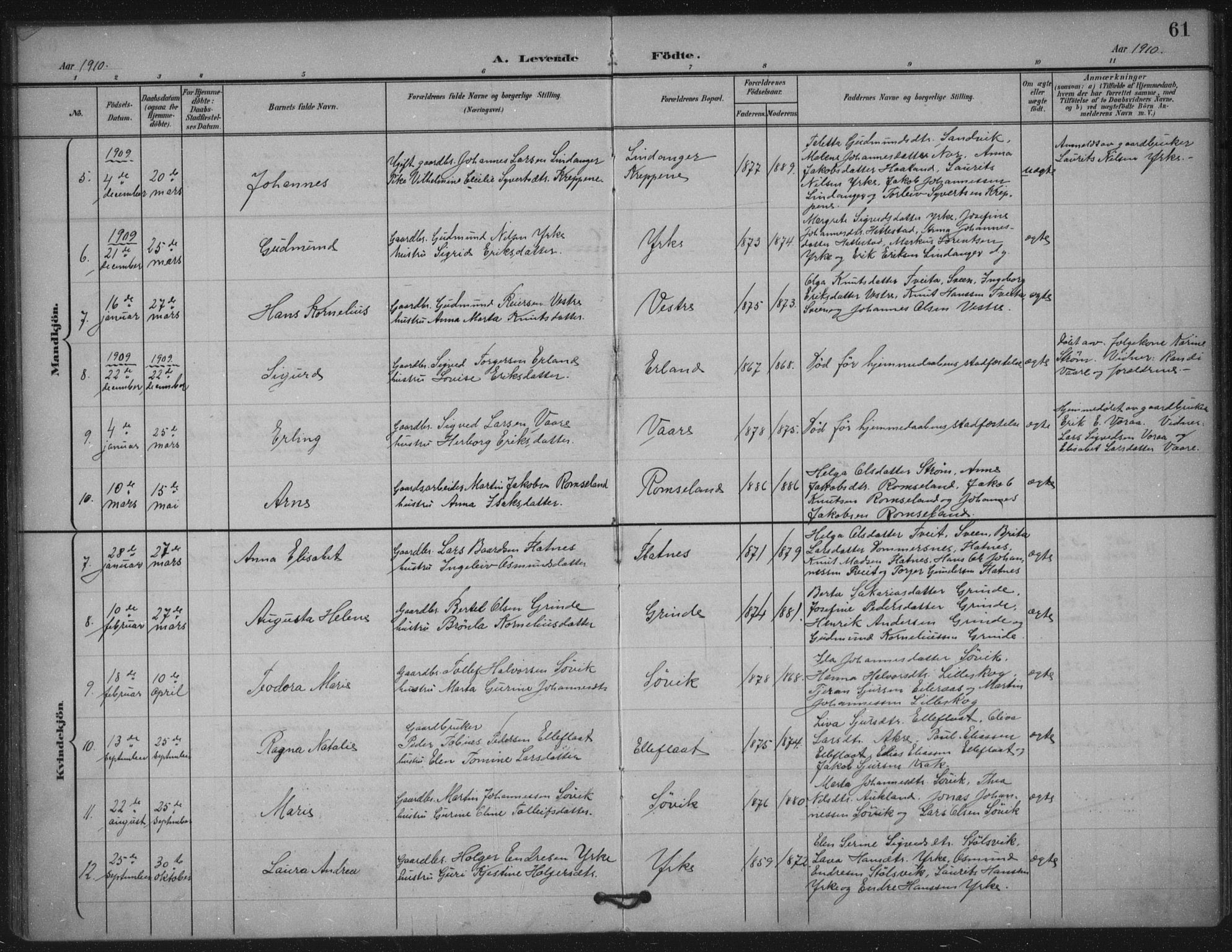 Skjold sokneprestkontor, AV/SAST-A-101847/H/Ha/Haa/L0011: Parish register (official) no. A 11, 1897-1914, p. 61