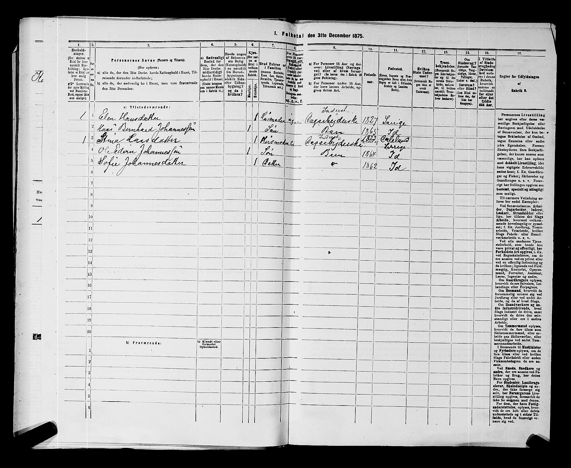 RA, 1875 census for 0117P Idd, 1875, p. 399