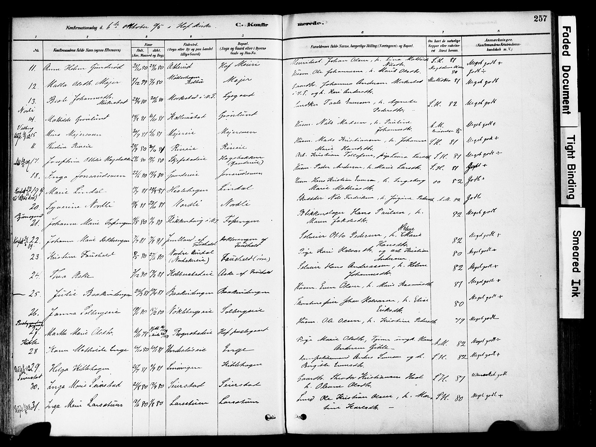 Østre Toten prestekontor, SAH/PREST-104/H/Ha/Haa/L0006: Parish register (official) no. 6 /1, 1878-1896, p. 257