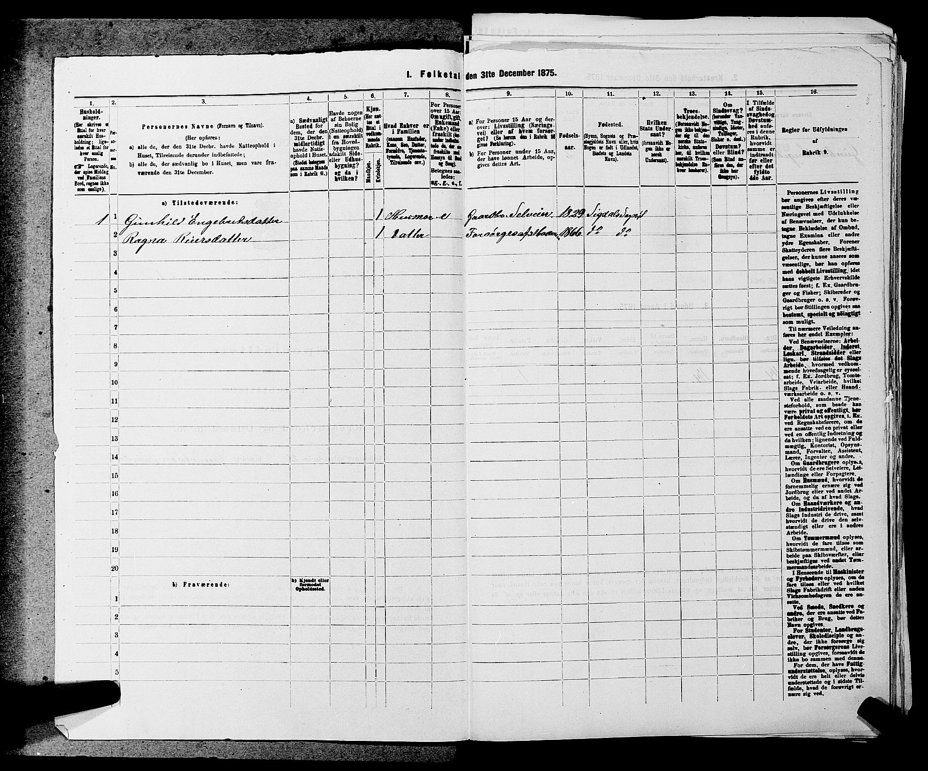 SAKO, 1875 census for 0621P Sigdal, 1875, p. 312