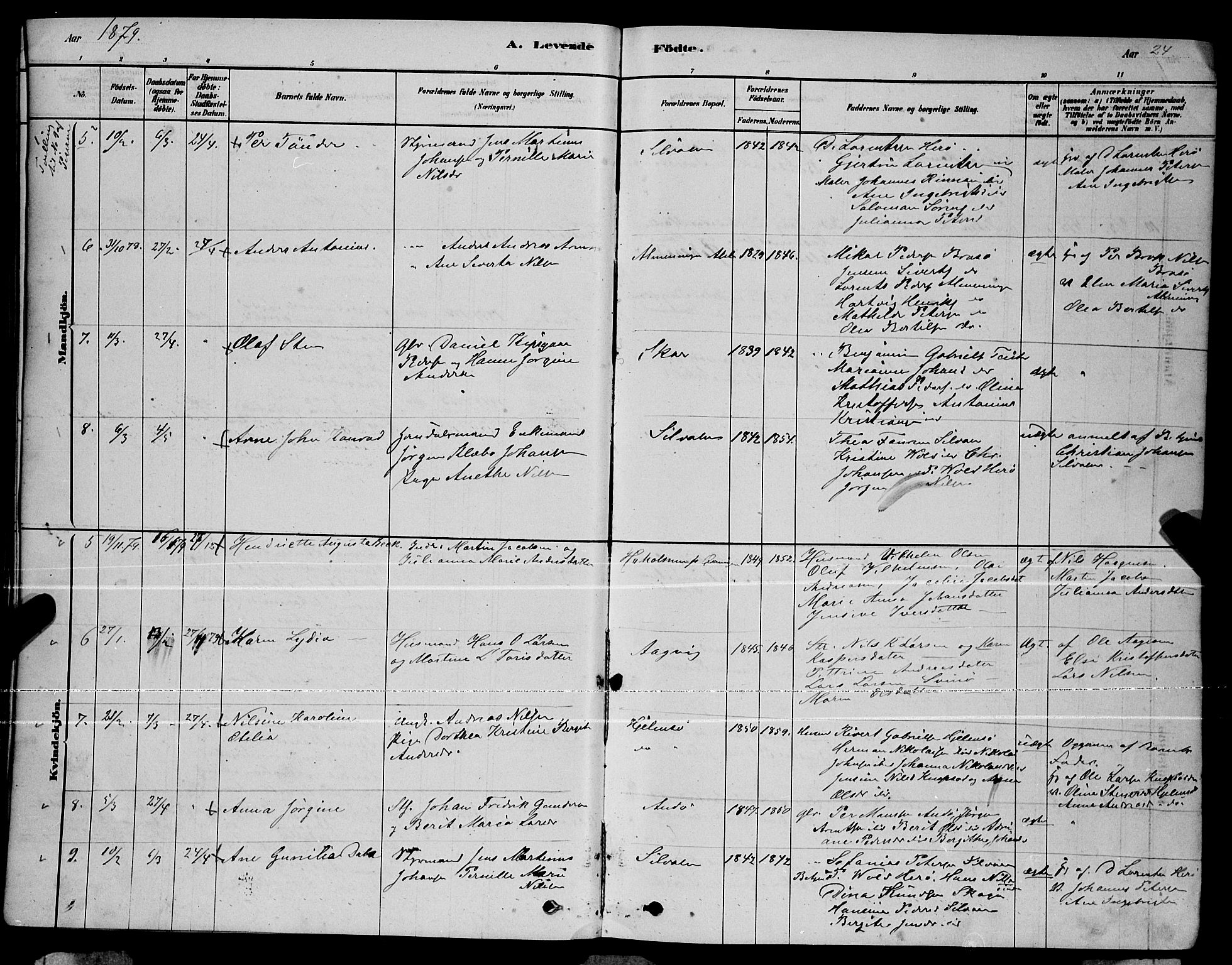 Ministerialprotokoller, klokkerbøker og fødselsregistre - Nordland, AV/SAT-A-1459/834/L0513: Parish register (copy) no. 834C04, 1877-1892, p. 24