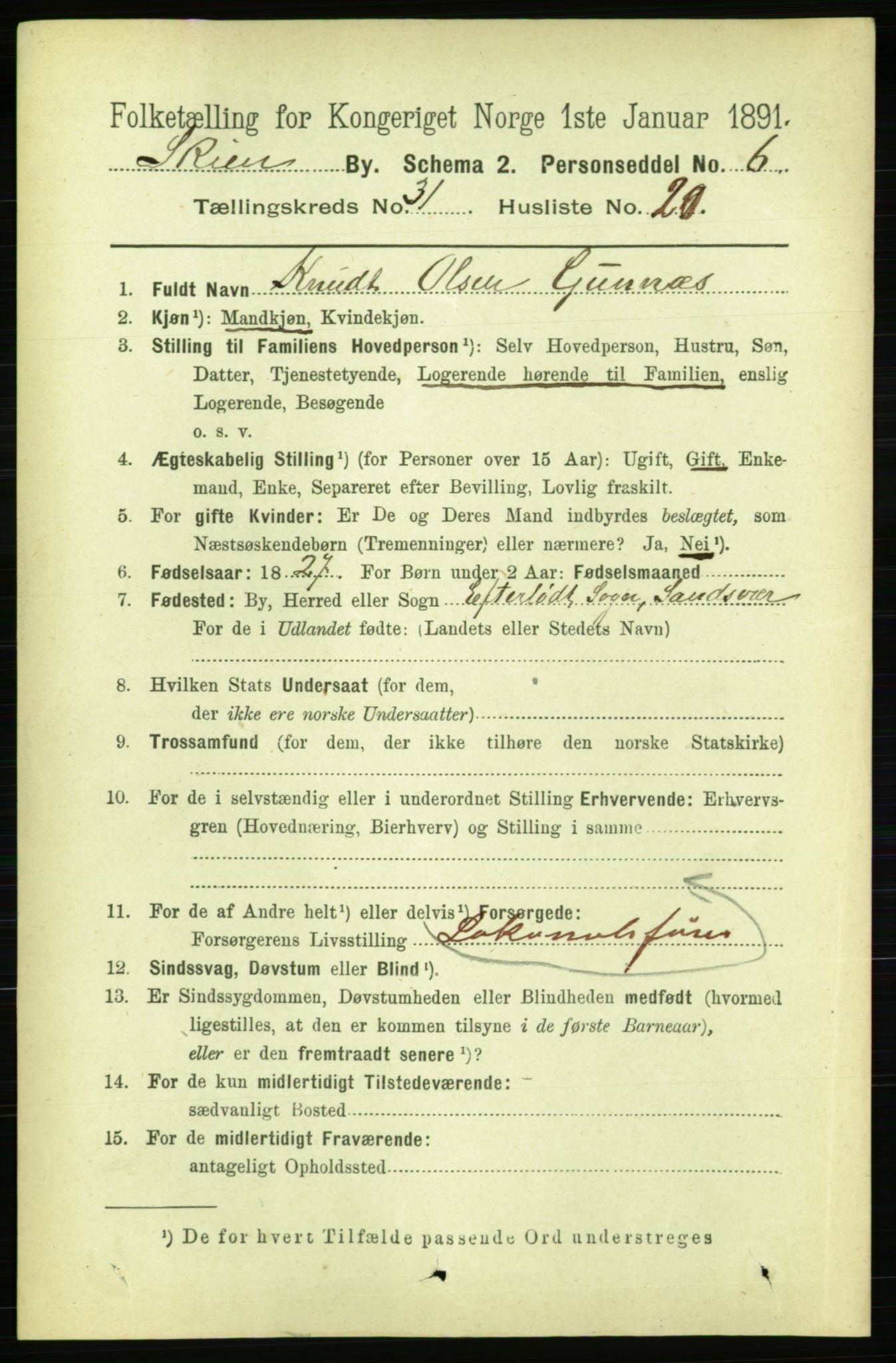 RA, 1891 census for 0806 Skien, 1891, p. 7204