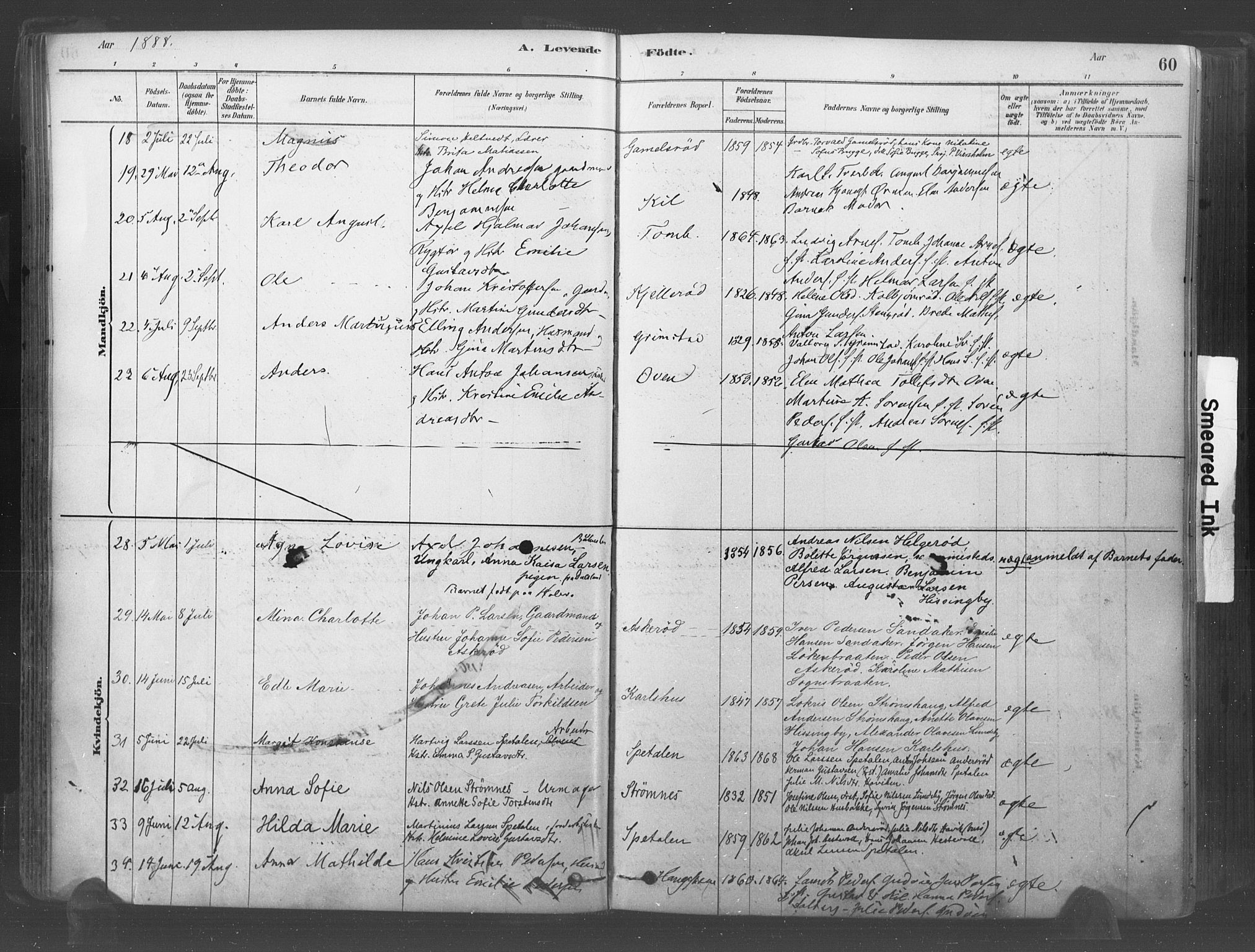 Råde prestekontor kirkebøker, AV/SAO-A-2009/F/Fa/L0007: Parish register (official) no. 7, 1878-1902, p. 60