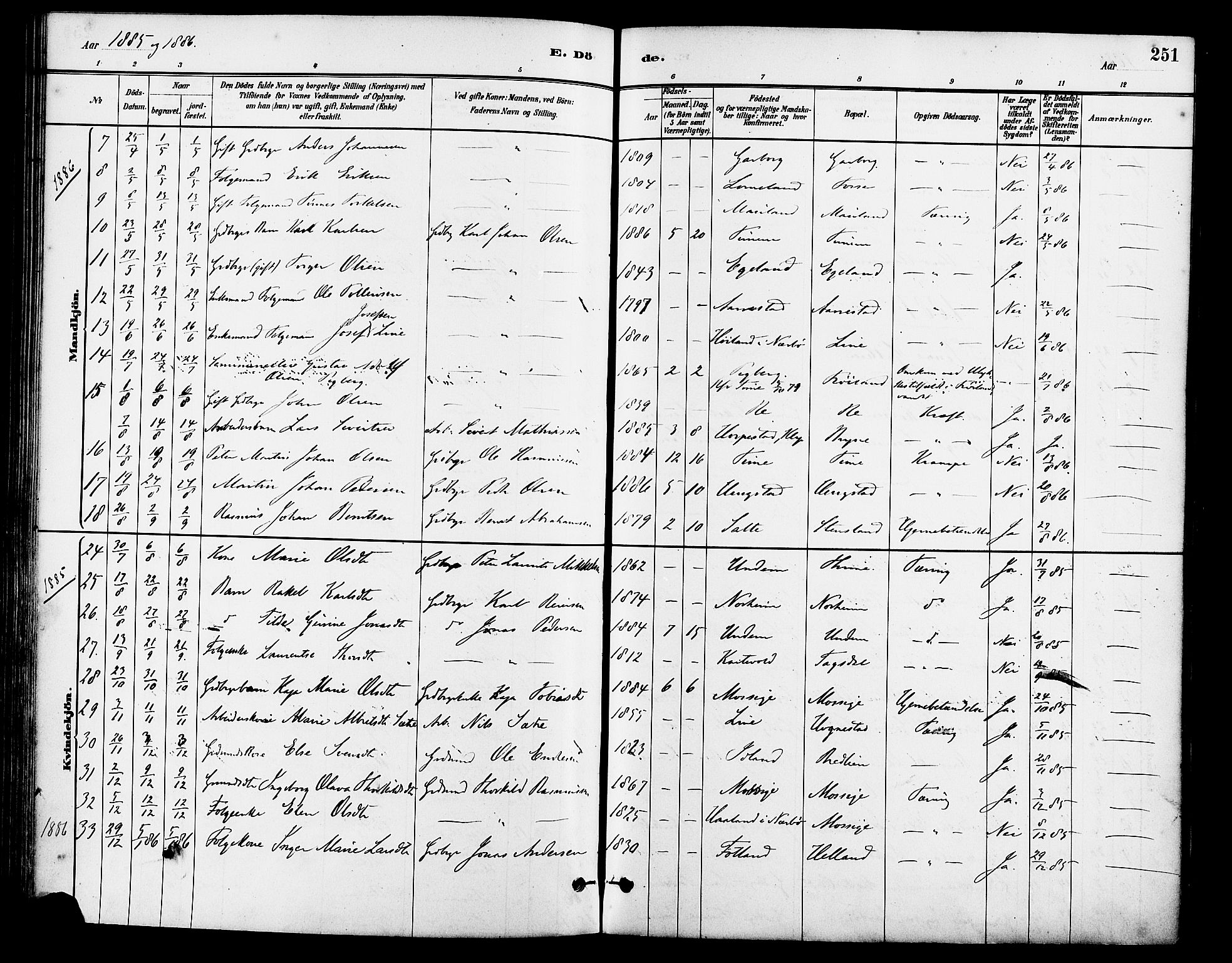 Lye sokneprestkontor, AV/SAST-A-101794/001/30BA/L0009: Parish register (official) no. A 8, 1881-1892, p. 251