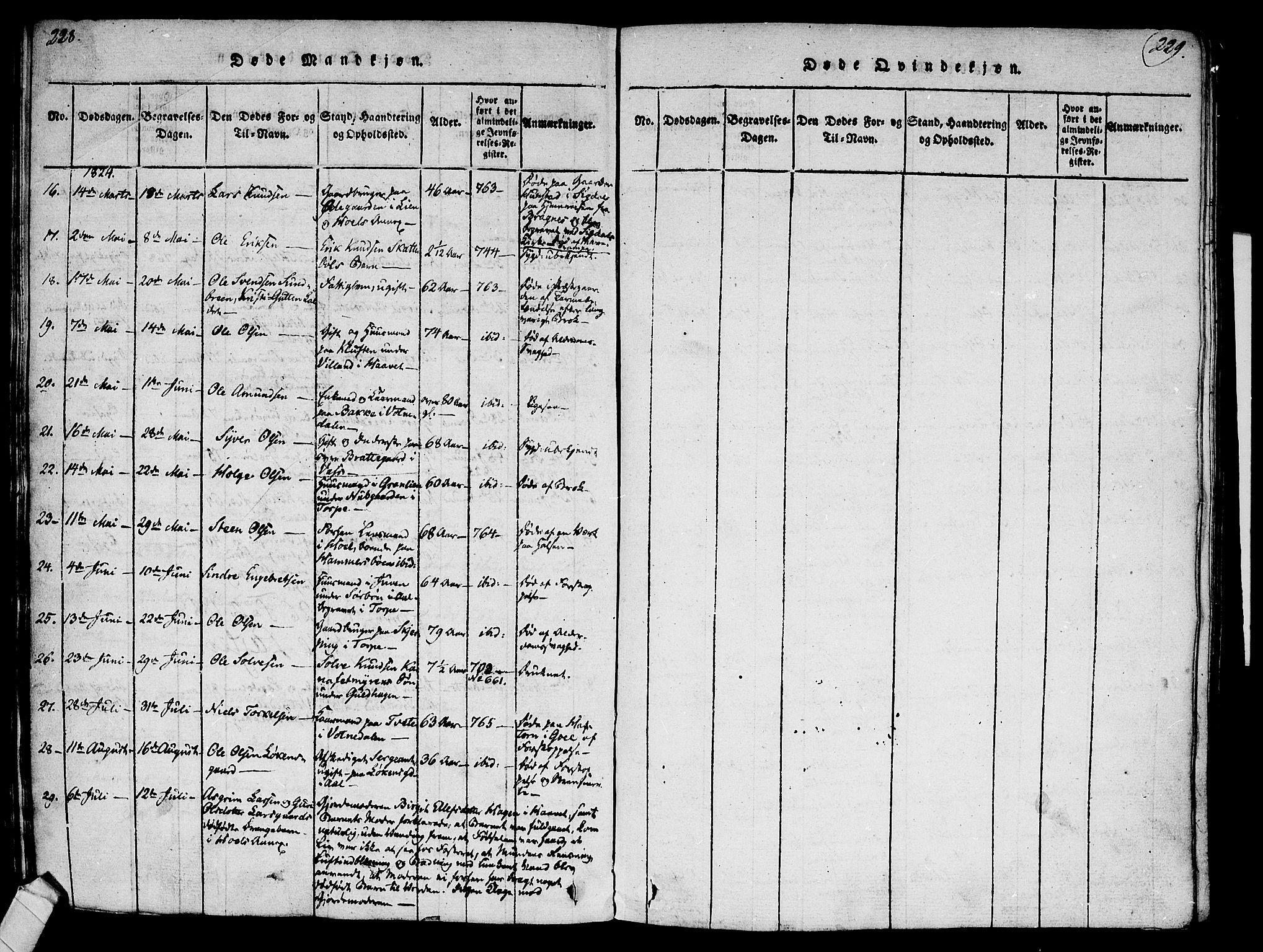 Ål kirkebøker, SAKO/A-249/F/Fa/L0004: Parish register (official) no. I 4, 1815-1825, p. 228-229