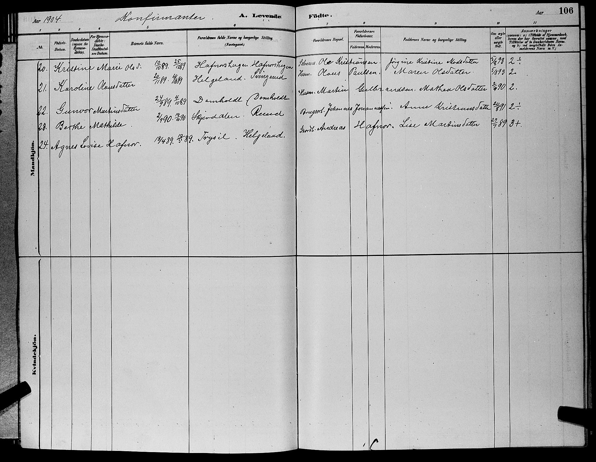 Hole kirkebøker, AV/SAKO-A-228/G/Ga/L0003: Parish register (copy) no. I 3, 1879-1904, p. 106