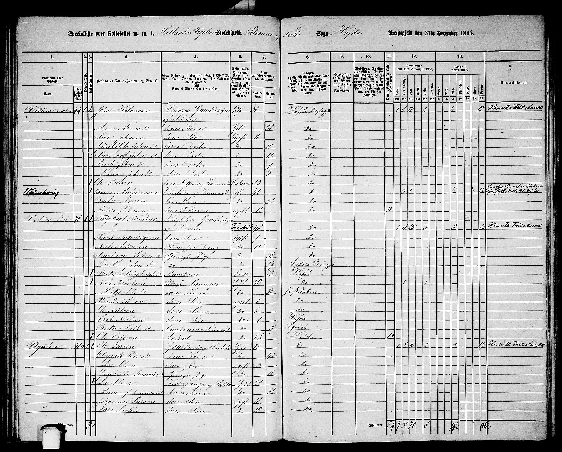 RA, 1865 census for Hafslo, 1865, p. 95