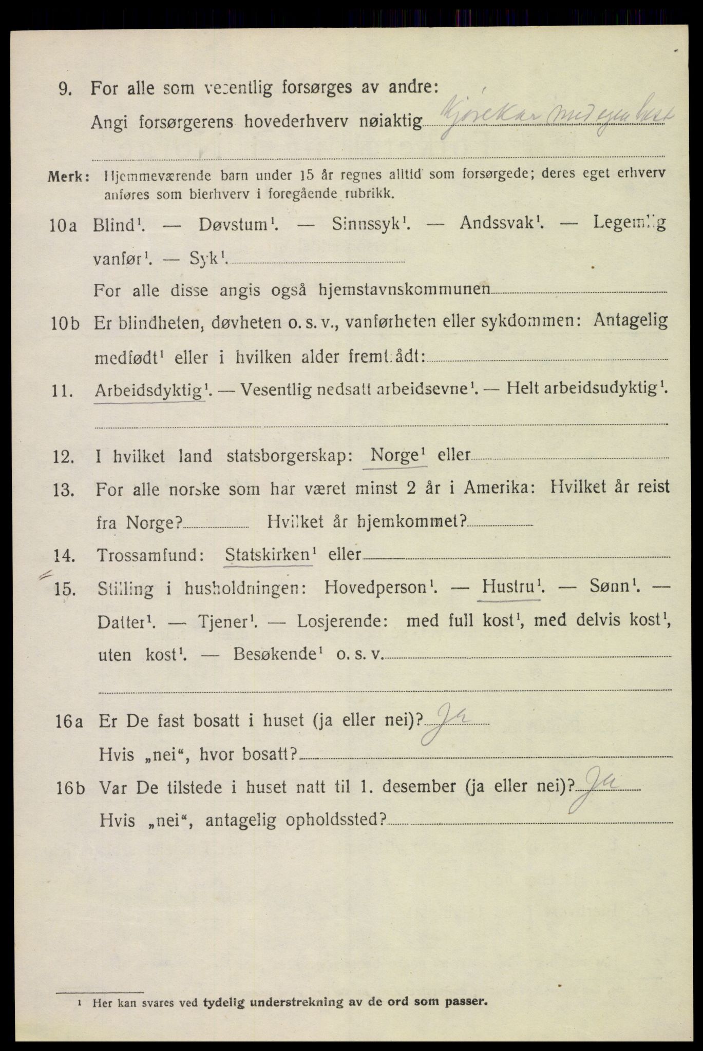 SAH, 1920 census for Vang (Hedmark), 1920, p. 11070