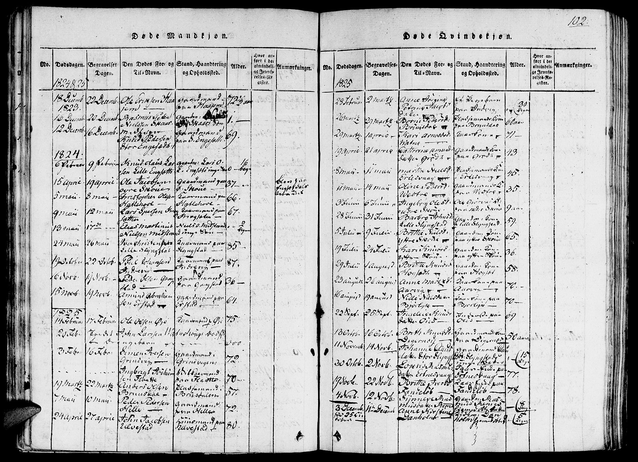 Ministerialprotokoller, klokkerbøker og fødselsregistre - Møre og Romsdal, SAT/A-1454/524/L0351: Parish register (official) no. 524A03, 1816-1838, p. 102