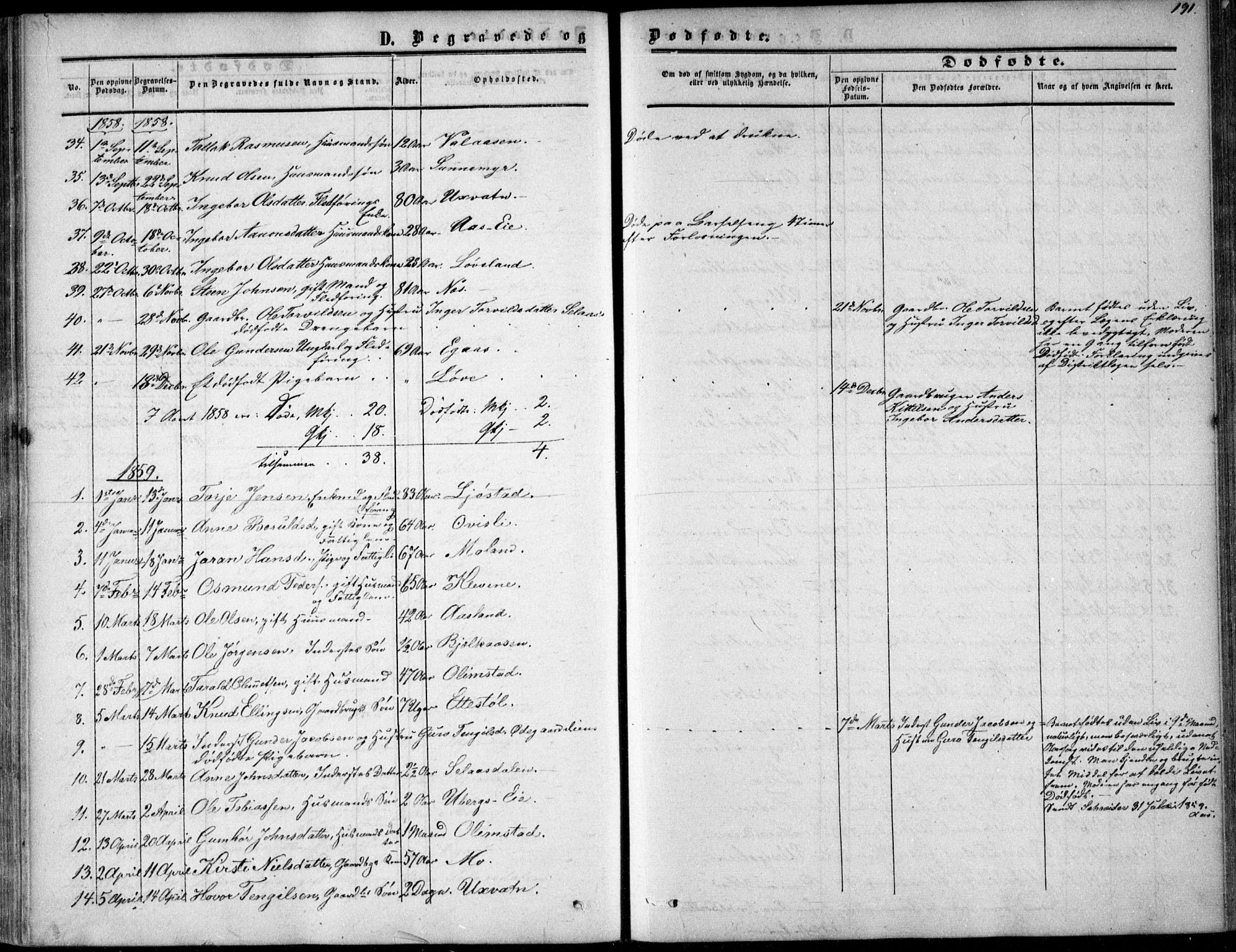 Gjerstad sokneprestkontor, SAK/1111-0014/F/Fa/Fab/L0003: Parish register (official) no. A 3, 1853-1878, p. 191