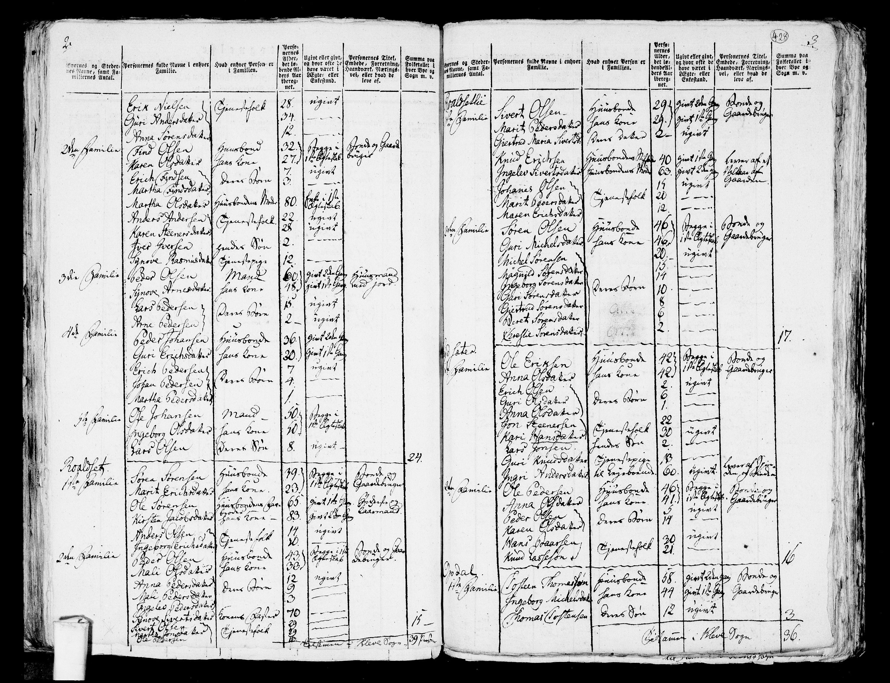 RA, 1801 census for 1544P Bolsøy, 1801, p. 427b-428a