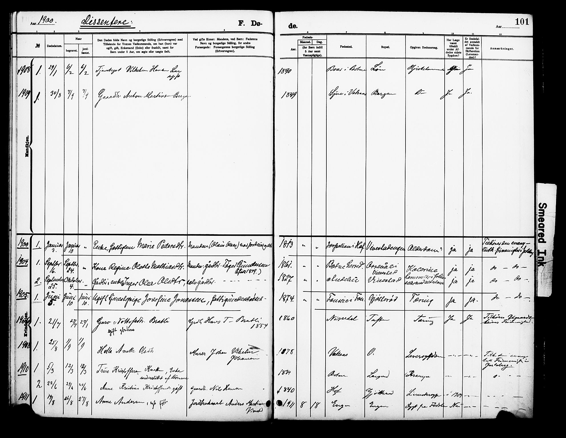 Ramnes kirkebøker, AV/SAKO-A-314/F/Fc/L0002: Parish register (official) no. III 2, 1900-1914, p. 101