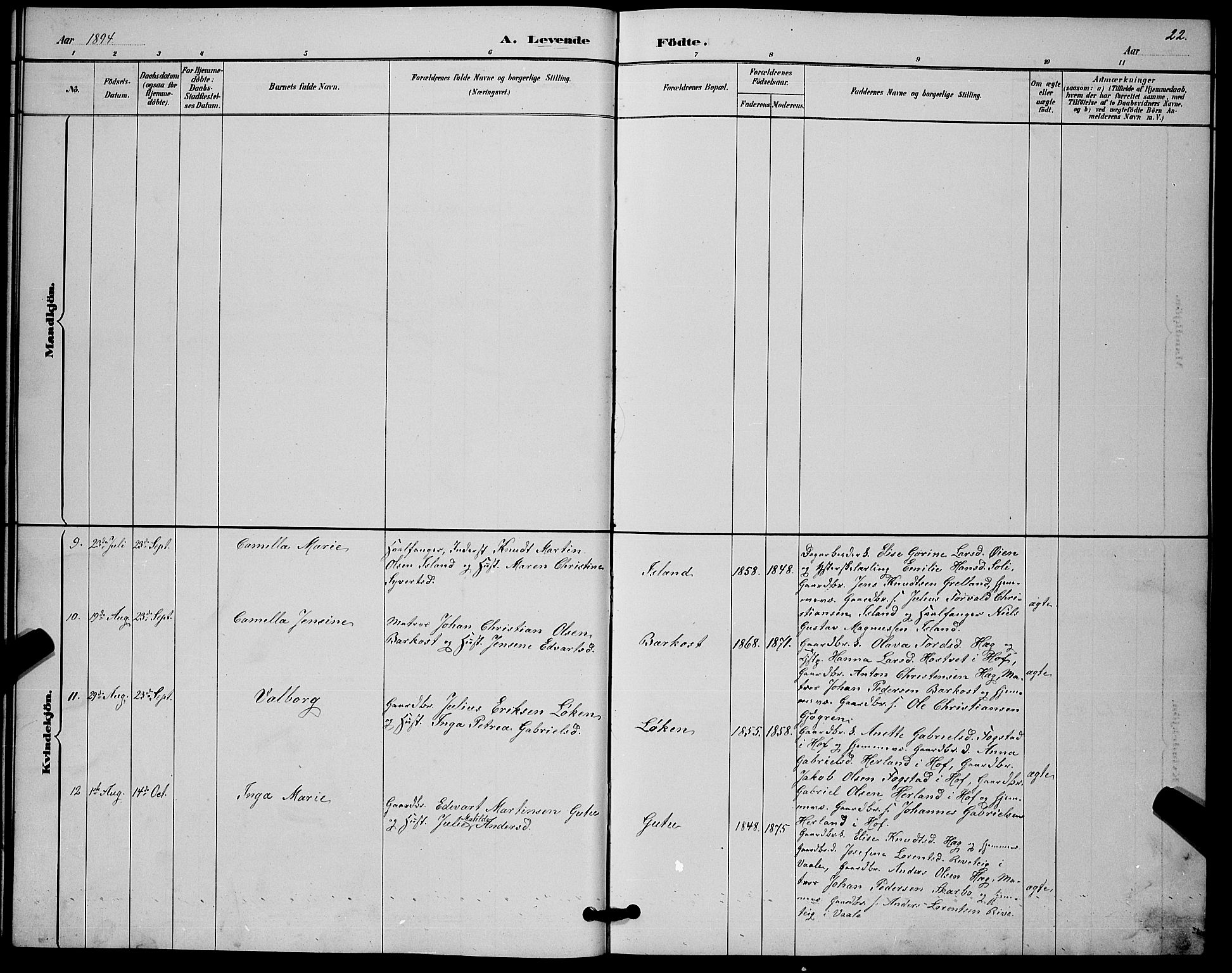 Botne kirkebøker, AV/SAKO-A-340/G/Gb/L0003: Parish register (copy) no. II 3, 1887-1899, p. 22