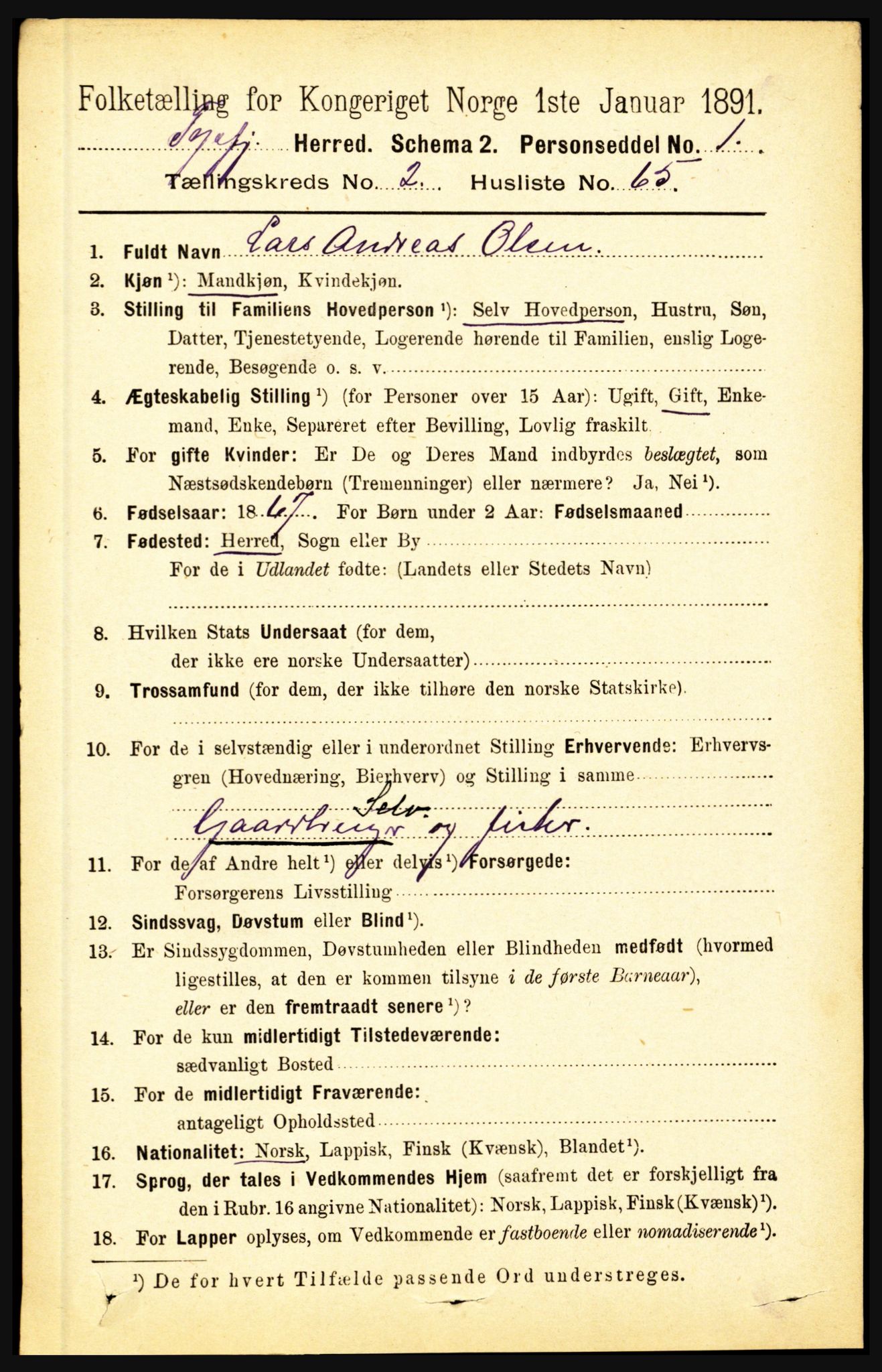 RA, 1891 census for 1850 Tysfjord, 1891, p. 995