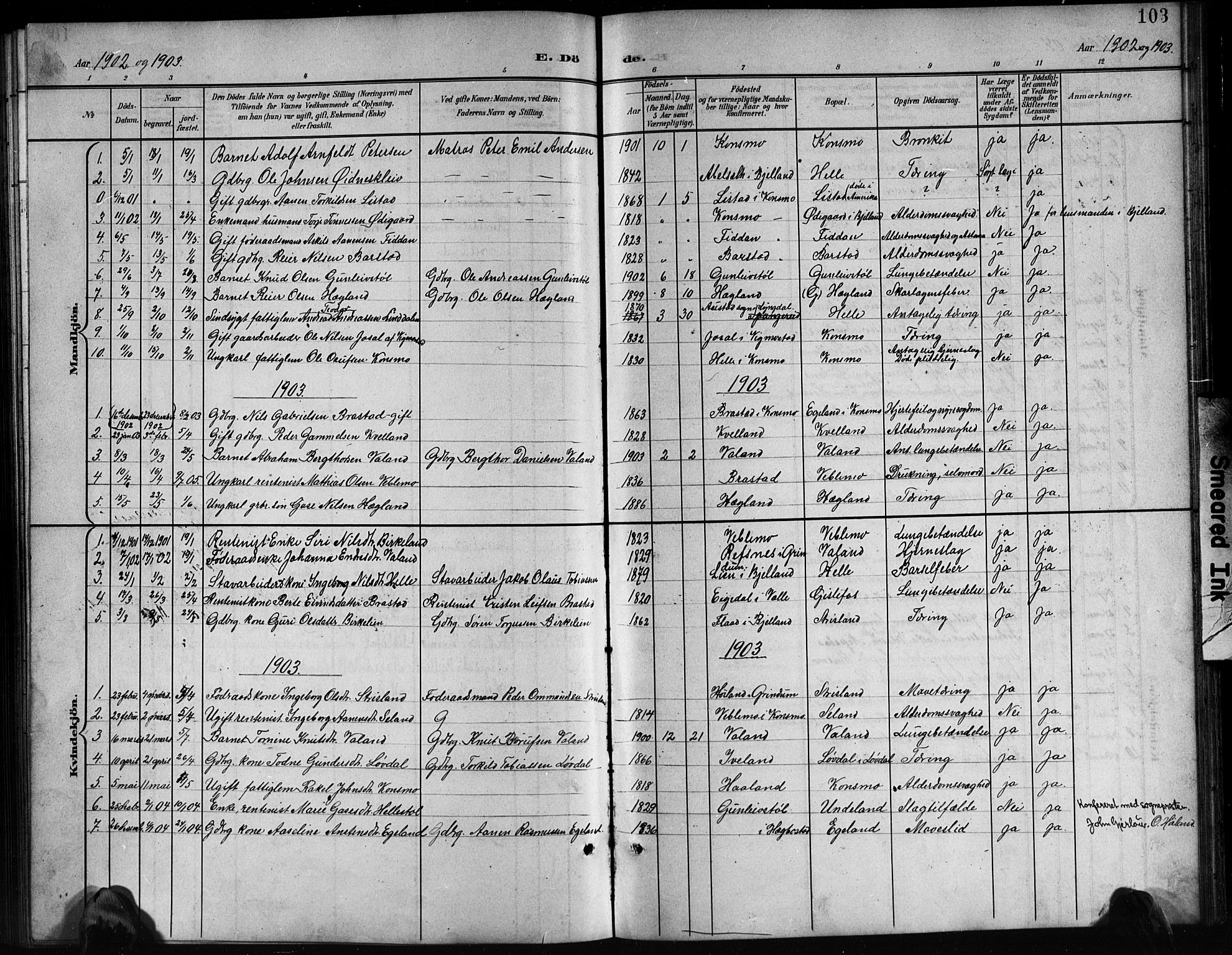 Nord-Audnedal sokneprestkontor, SAK/1111-0032/F/Fb/Fba/L0004: Parish register (copy) no. B 4, 1901-1917, p. 103