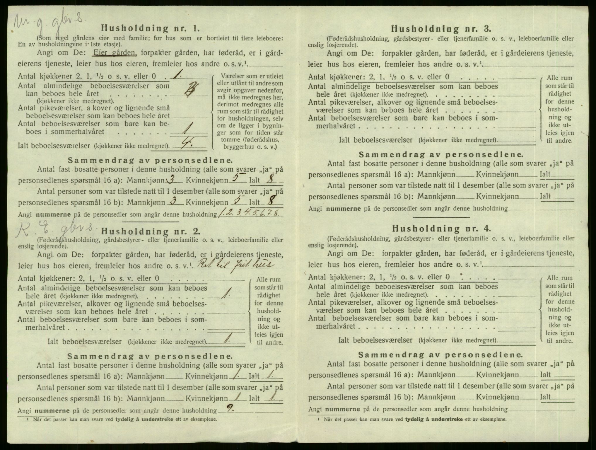 SAKO, 1920 census for Nore, 1920, p. 37