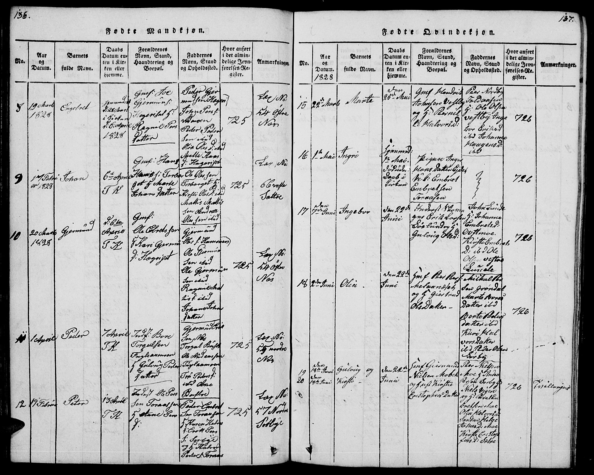 Trysil prestekontor, SAH/PREST-046/H/Ha/Hab/L0004: Parish register (copy) no. 4, 1814-1841, p. 136-137