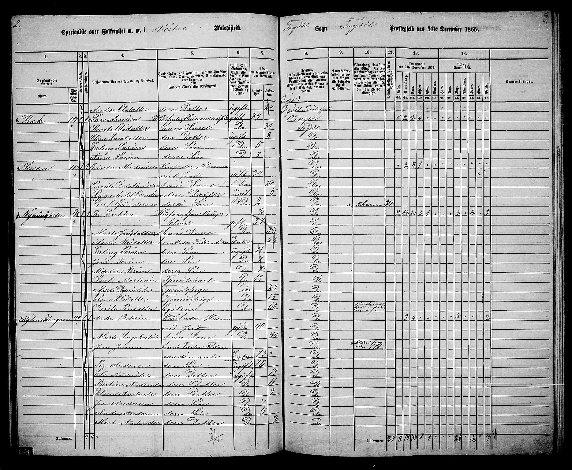 RA, 1865 census for Trysil, 1865, p. 74