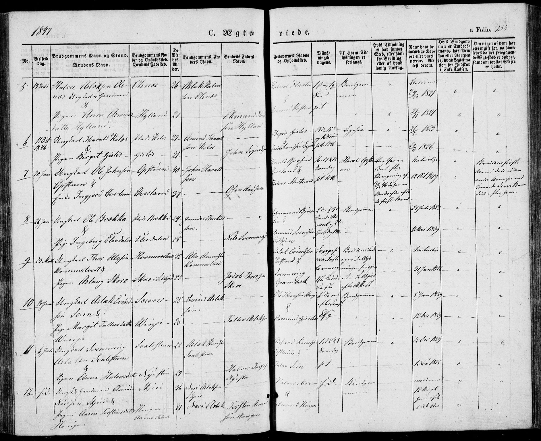 Vinje kirkebøker, SAKO/A-312/F/Fa/L0004: Parish register (official) no. I 4, 1843-1869, p. 254