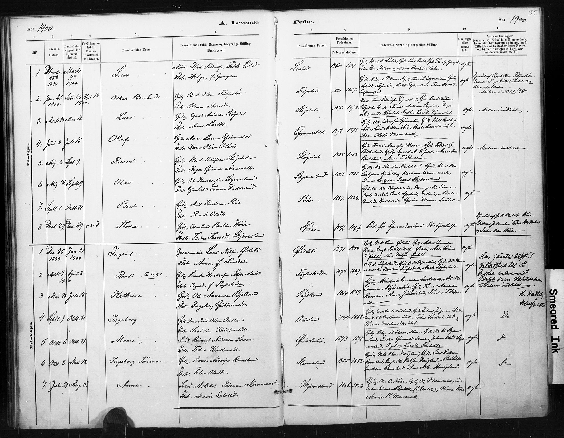 Holum sokneprestkontor, AV/SAK-1111-0022/F/Fa/Fac/L0004: Parish register (official) no. A 4, 1884-1907, p. 35